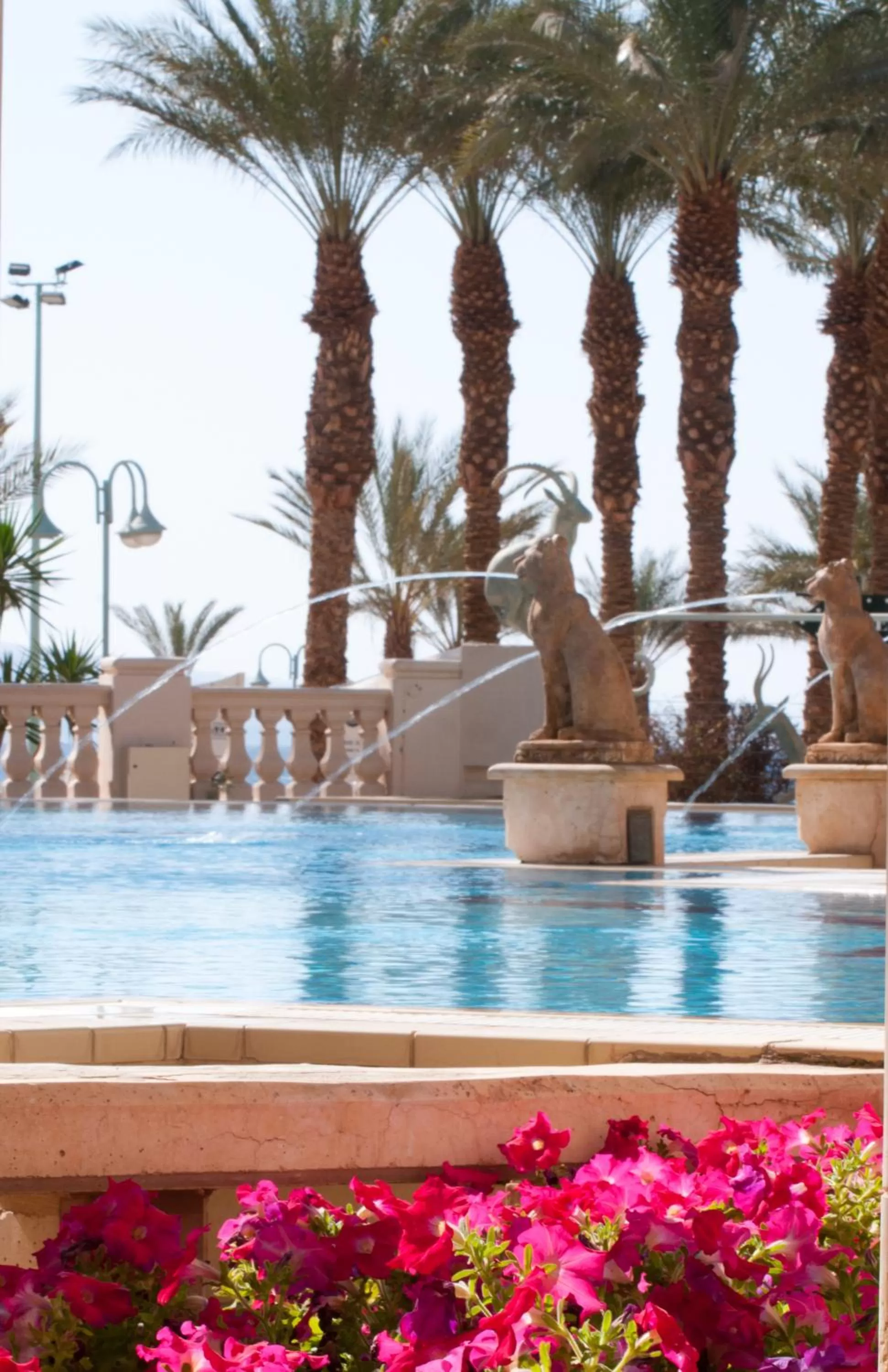 Swimming pool in Herods Vitalis Spa Hotel Eilat a Premium collection by Fattal Hotels