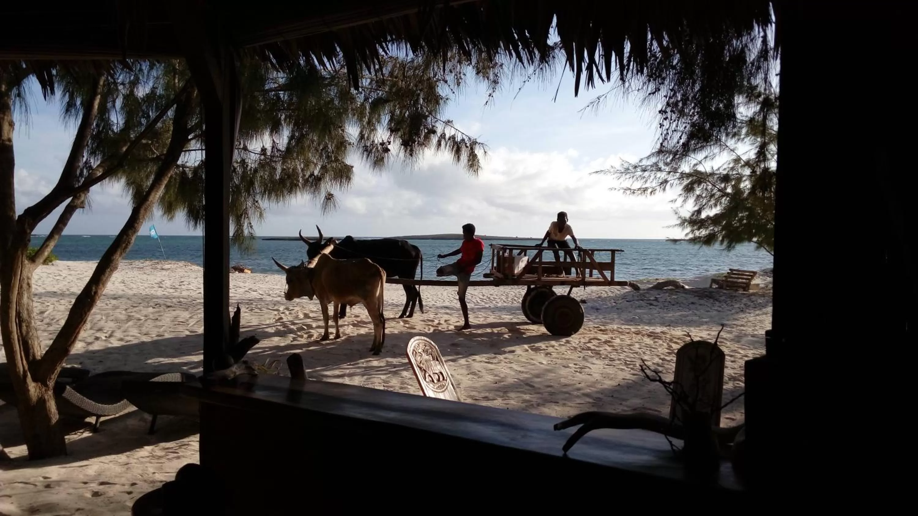 Beach in Ocean Lodge Kite & Windsurf