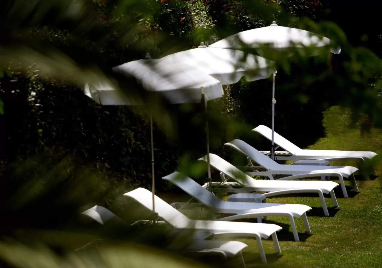 Garden in Hôtel Les Frères Ibarboure