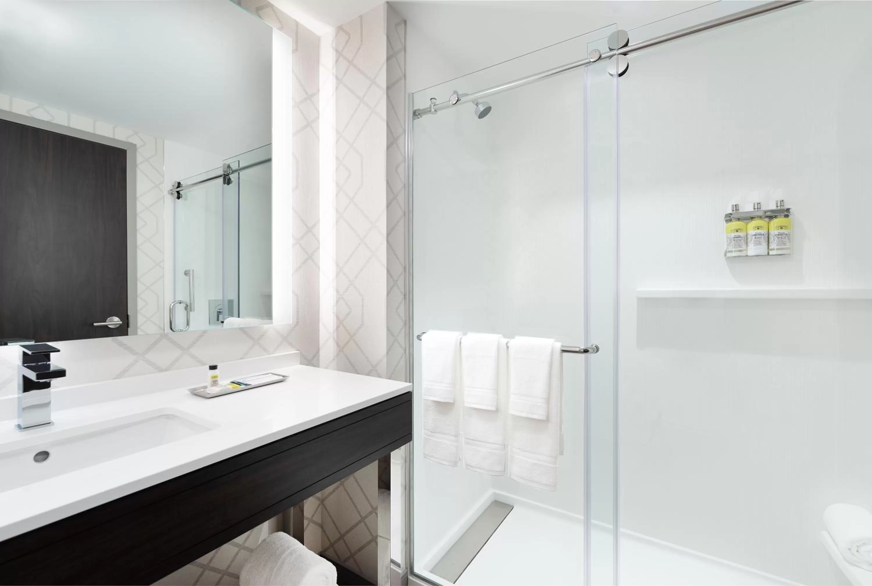 Bathroom in Holiday Inn Boston Logan Airport - Chelsea by IHG