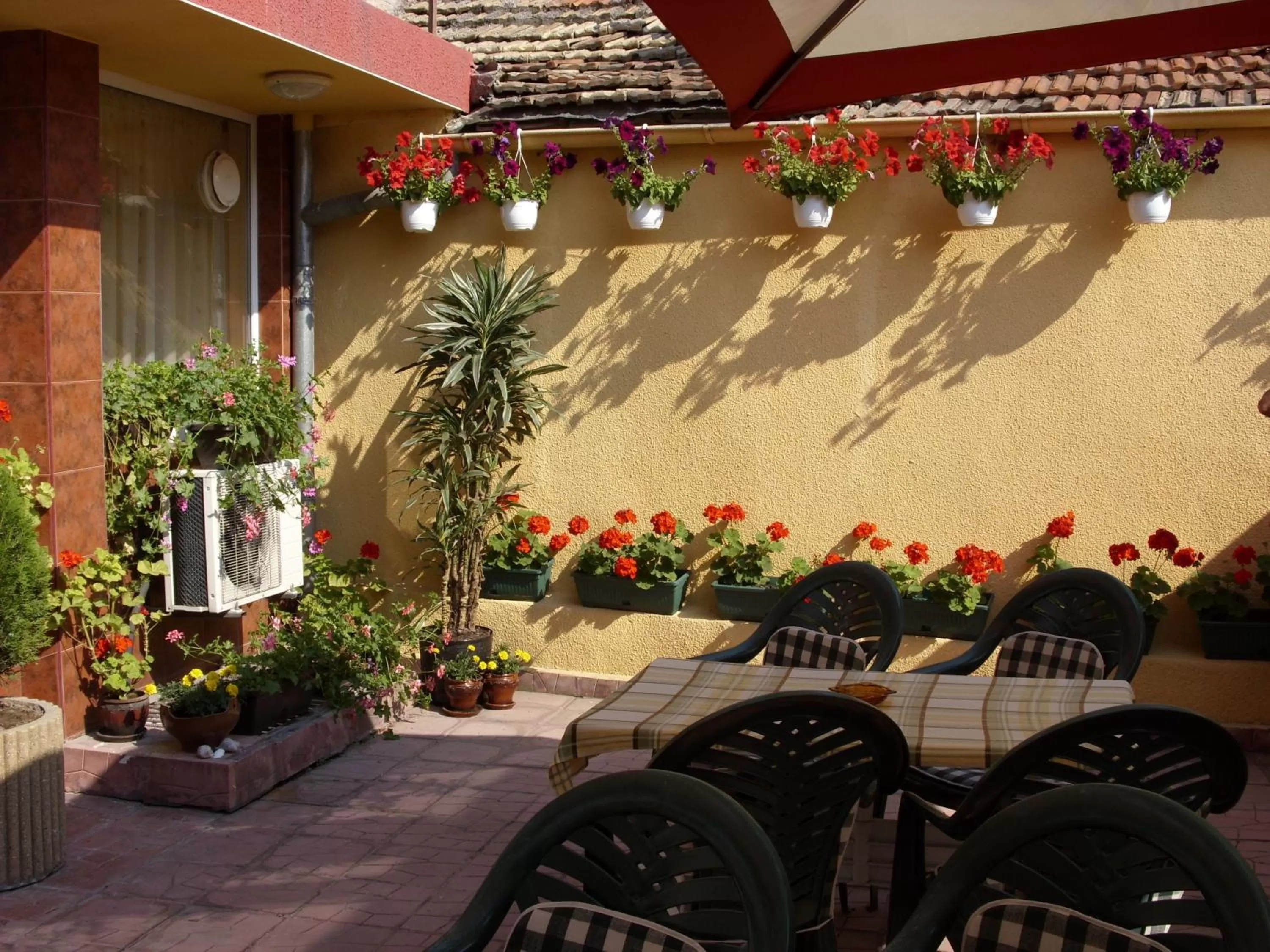 Balcony/Terrace in Hotel Color