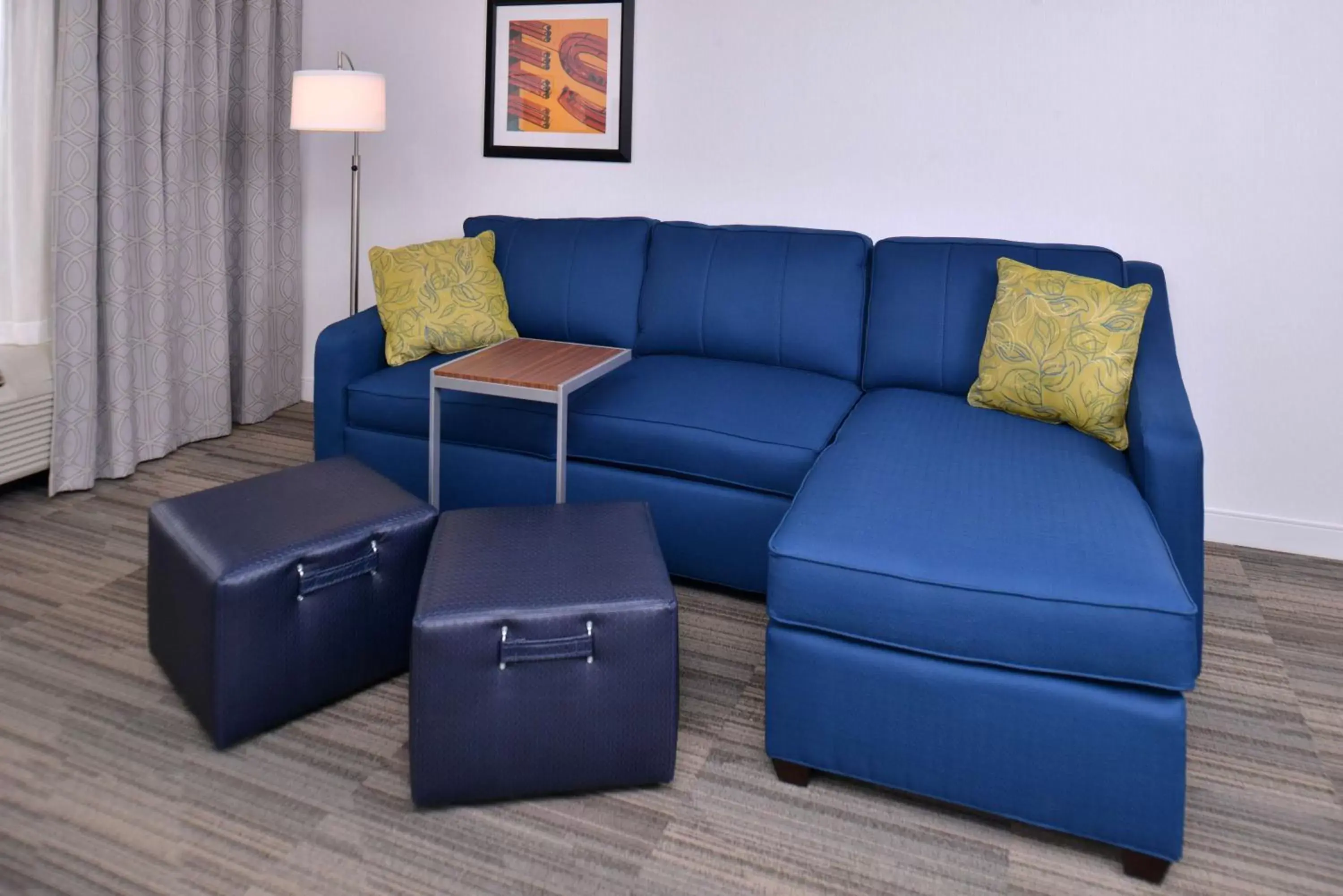 King Studio Suite - Non Smoking in Hampton Inn & Suites Ann Arbor West King Studio Suite - Non Smoking in Hampton Inn & Suites Ann Arbor West