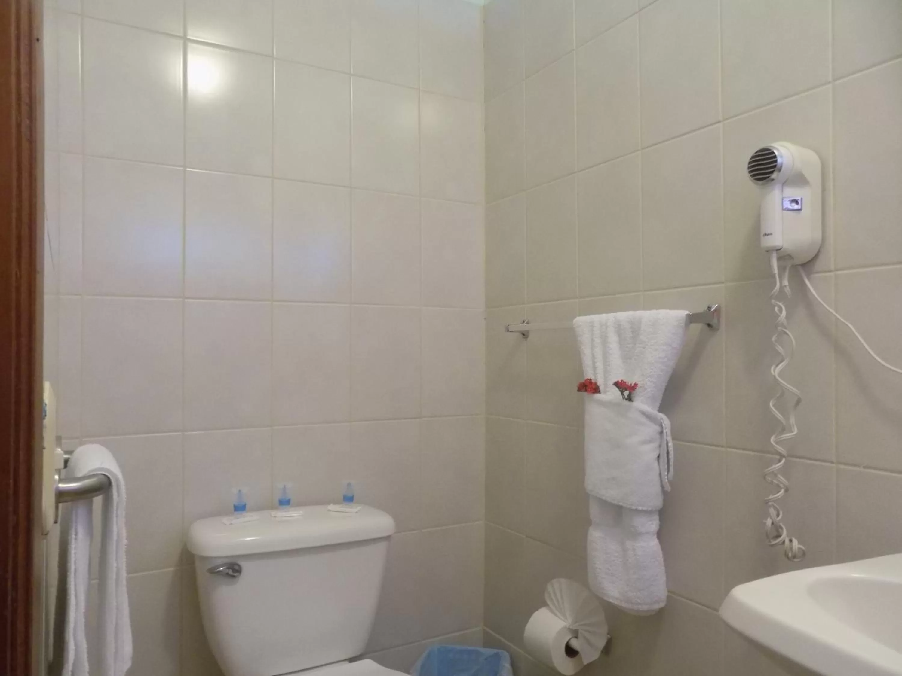 Bathroom in Hotel Los Pinos