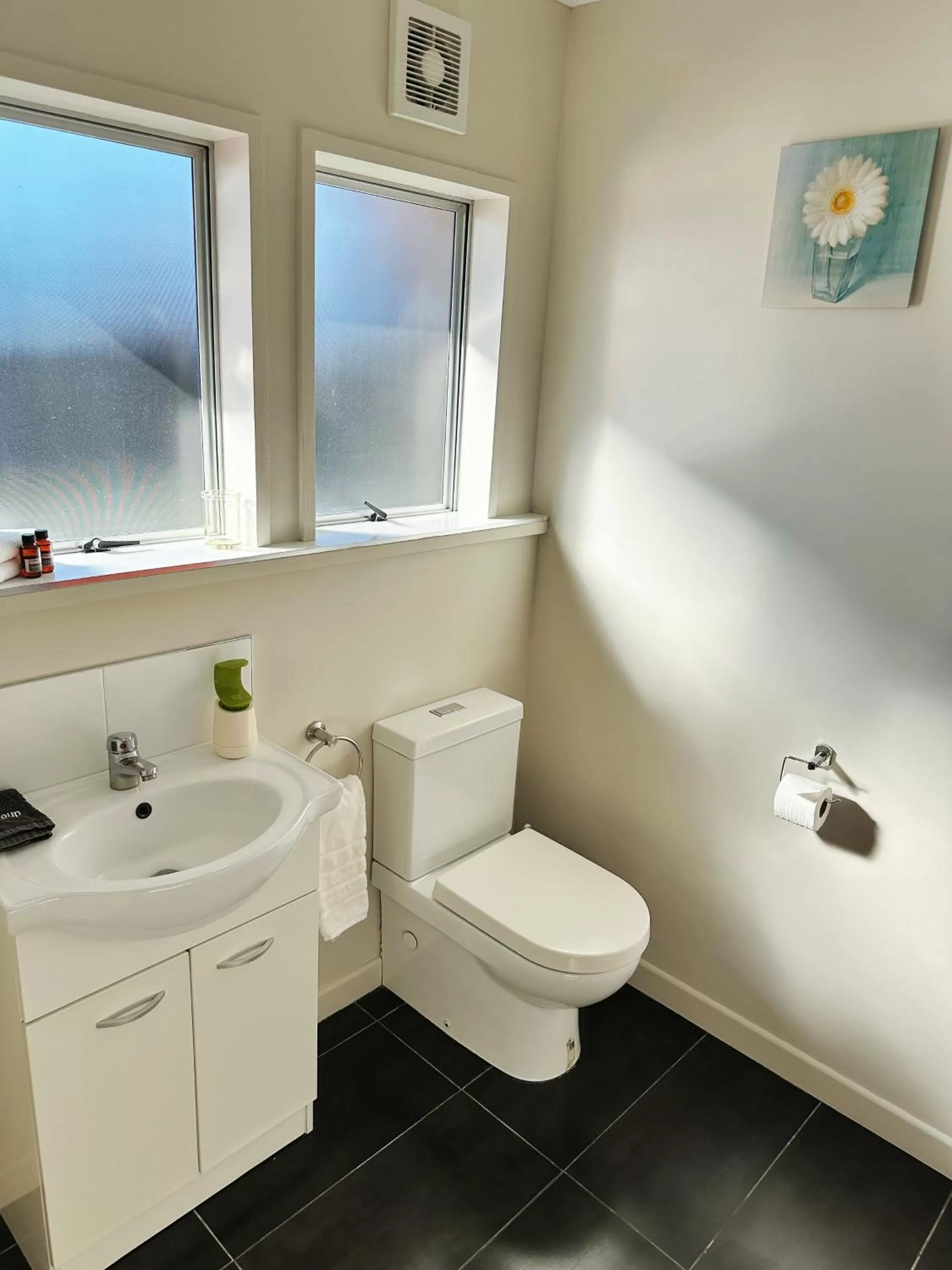 Toilet in Red Rock Thermal Motel - Mineral Pool