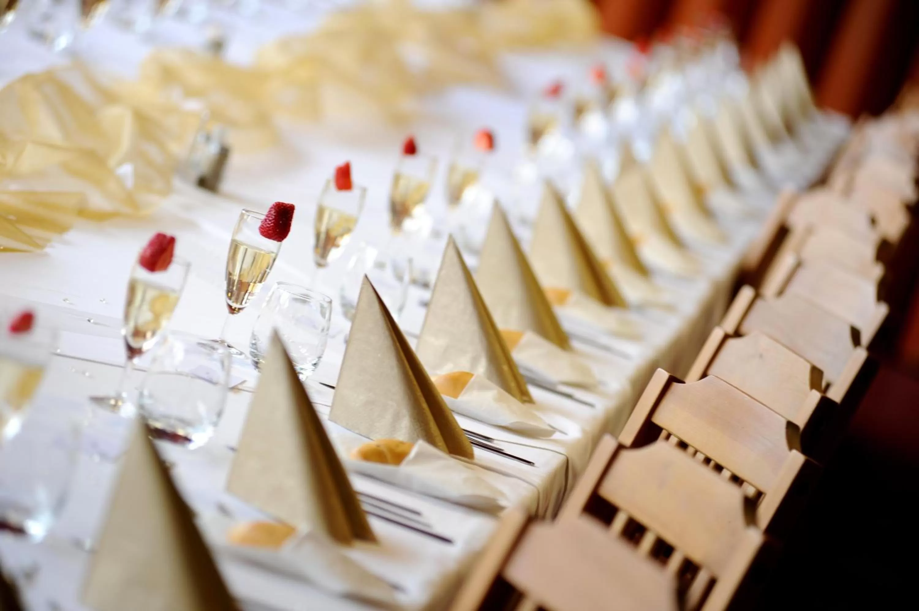 Food and drinks in Hotel Ludmila