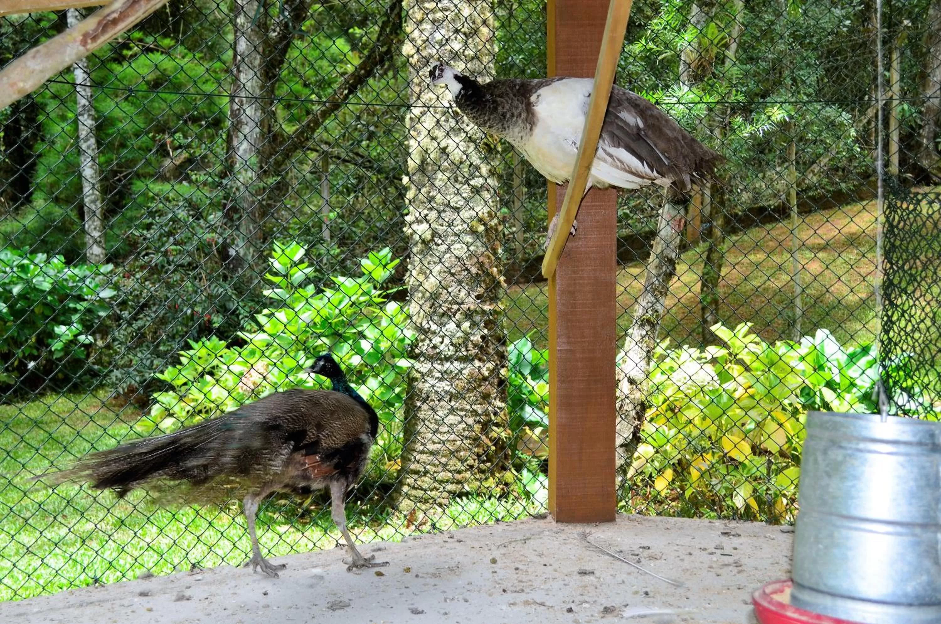 Pousada Toca Da Coruja