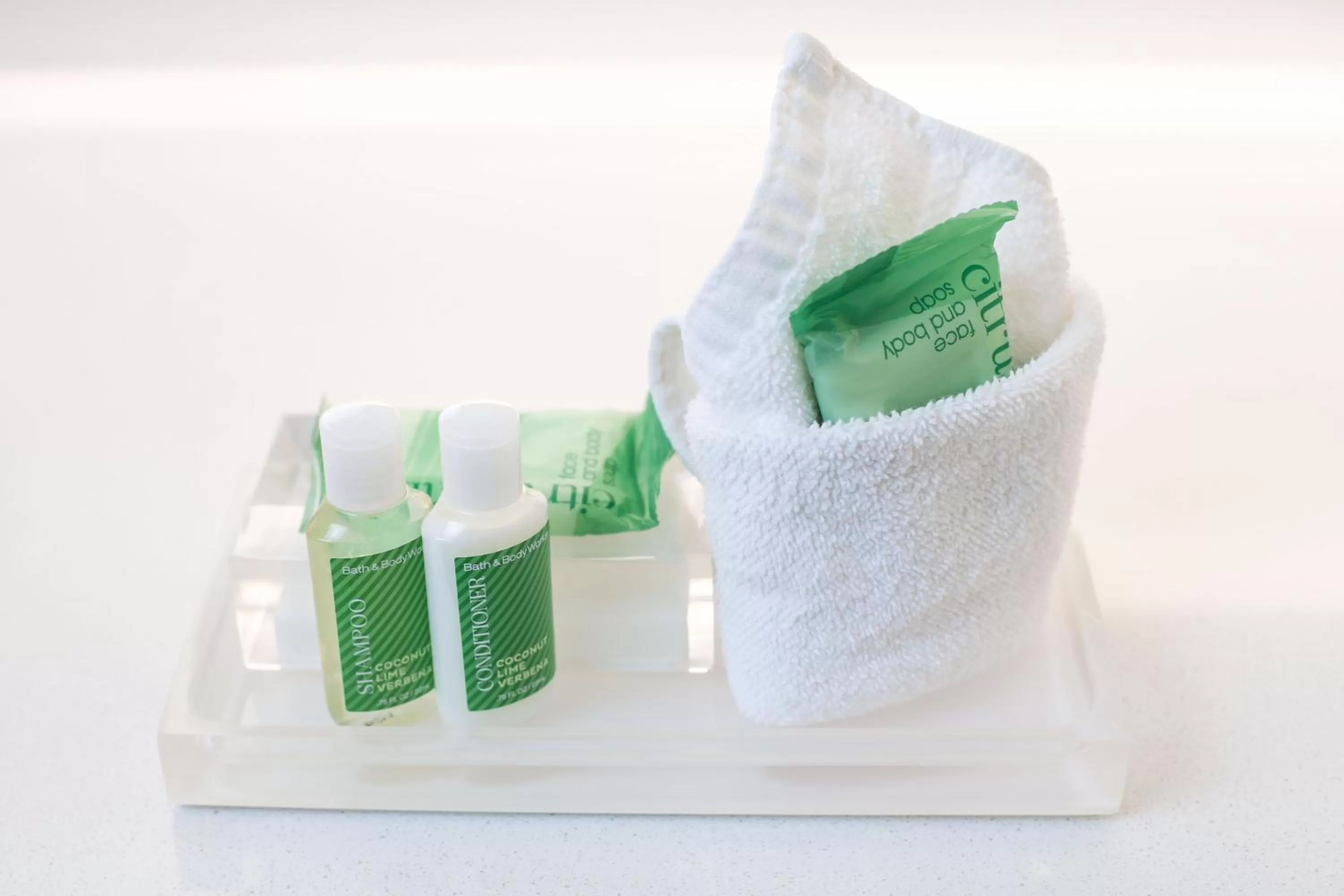 Double or Twin Room in Holiday Inn & Suites St. Cloud, an IHG Hotel