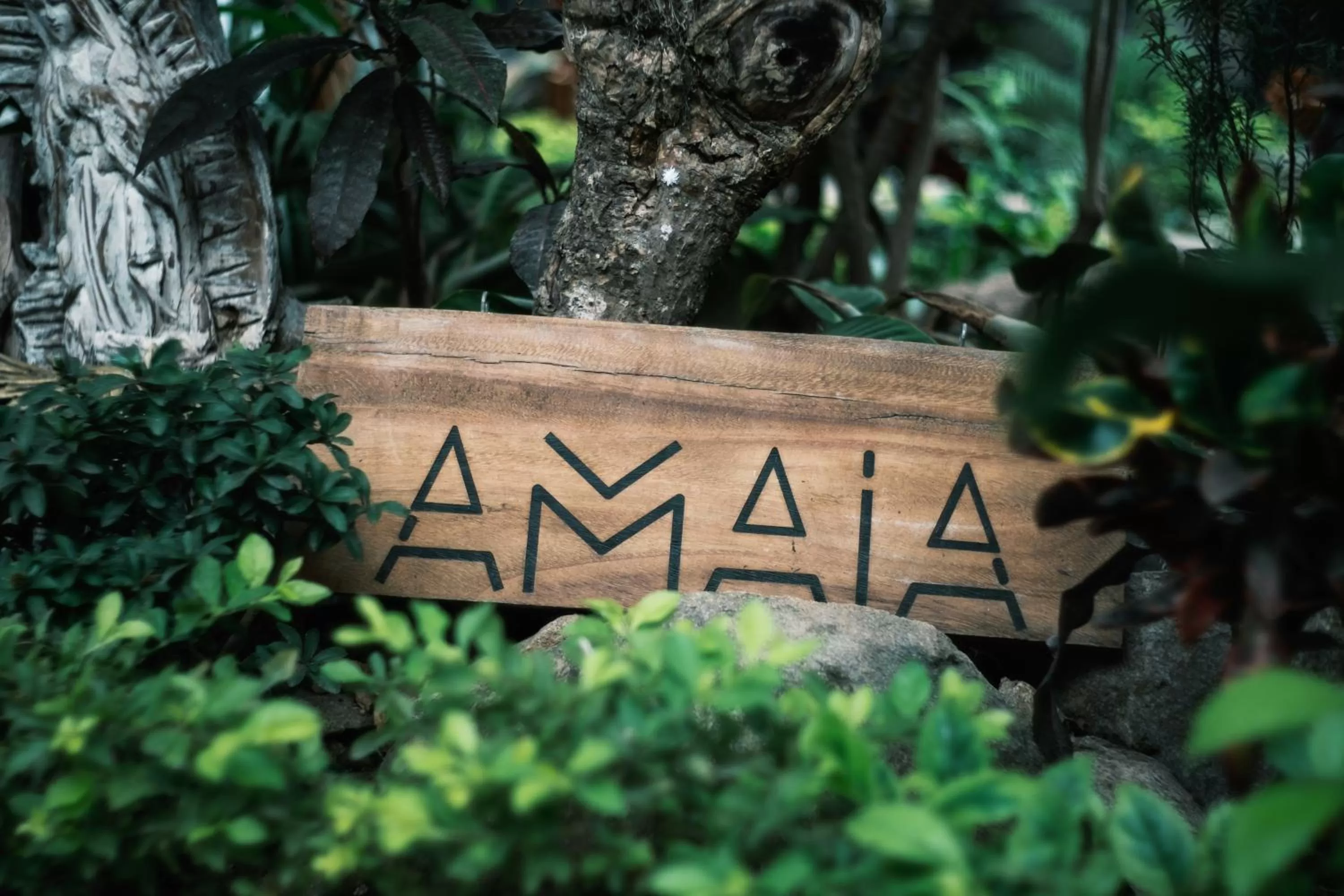 Garden in Amaia Boutique Hotel