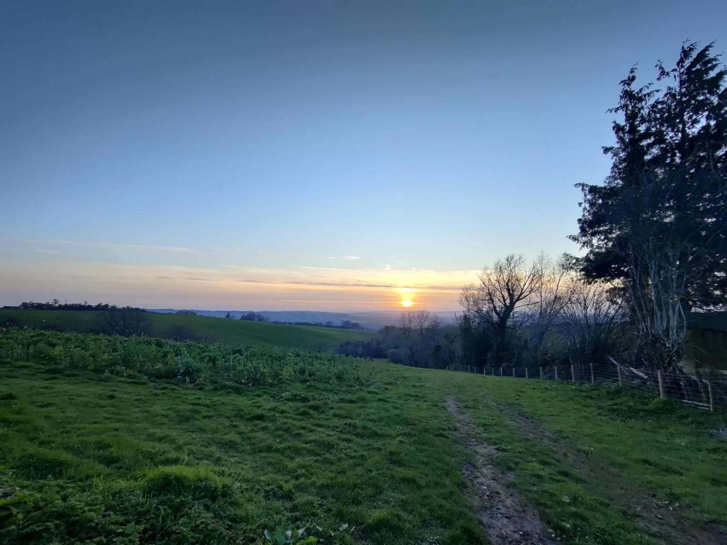 Spring in Hanley House
