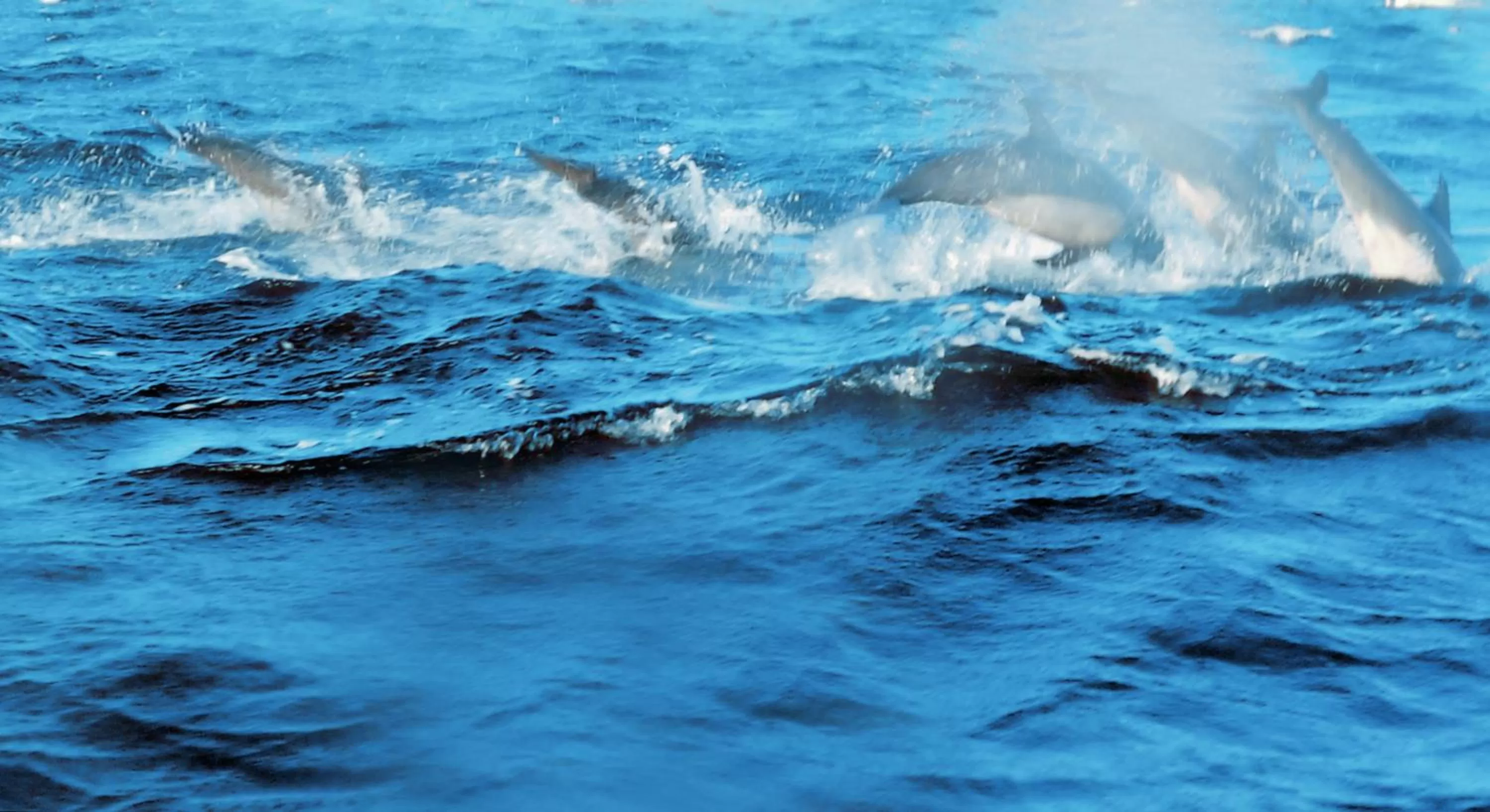 Other in Anantamaa Hotel