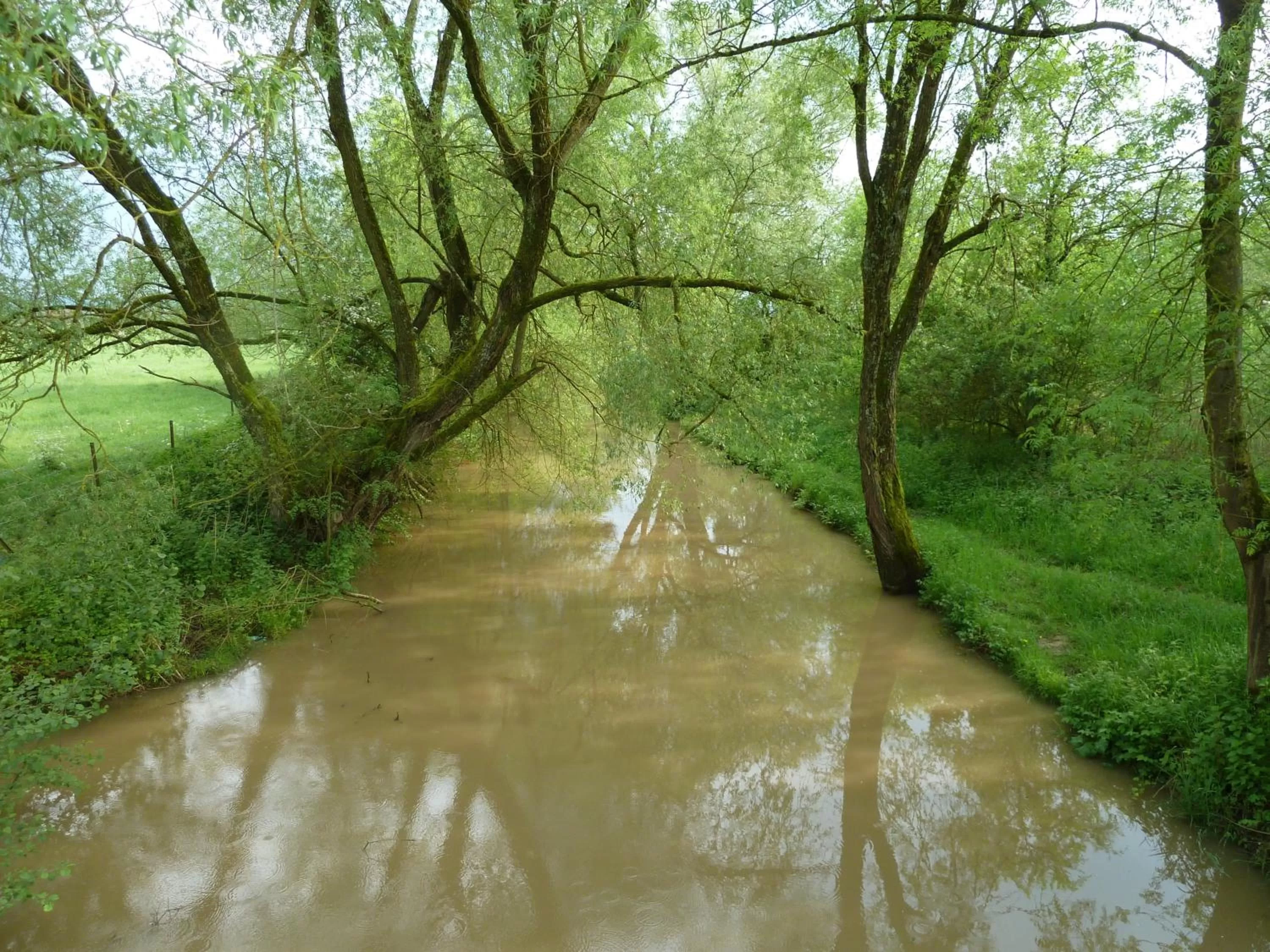 Nearby landmark in Maison Les Beaux Arts