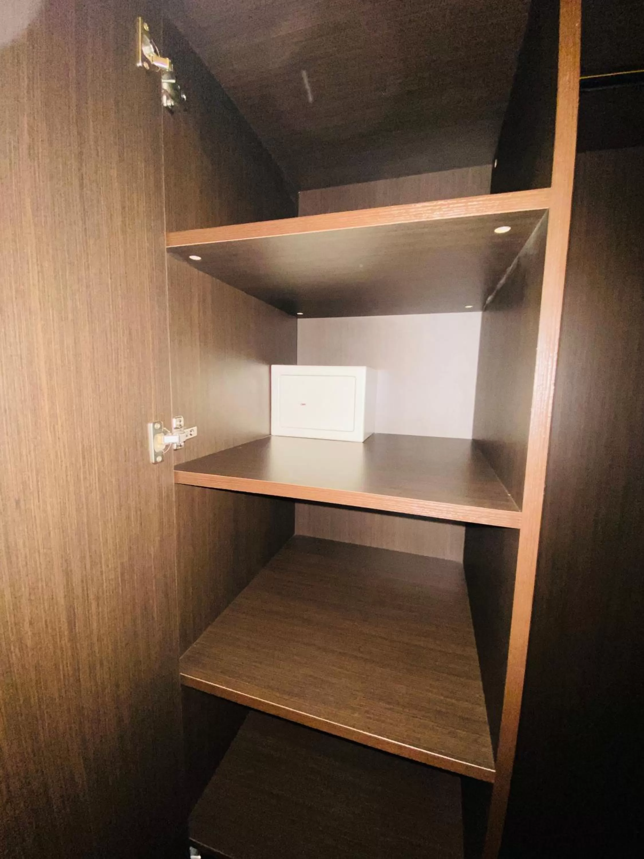 safe in Hotel Hansehof