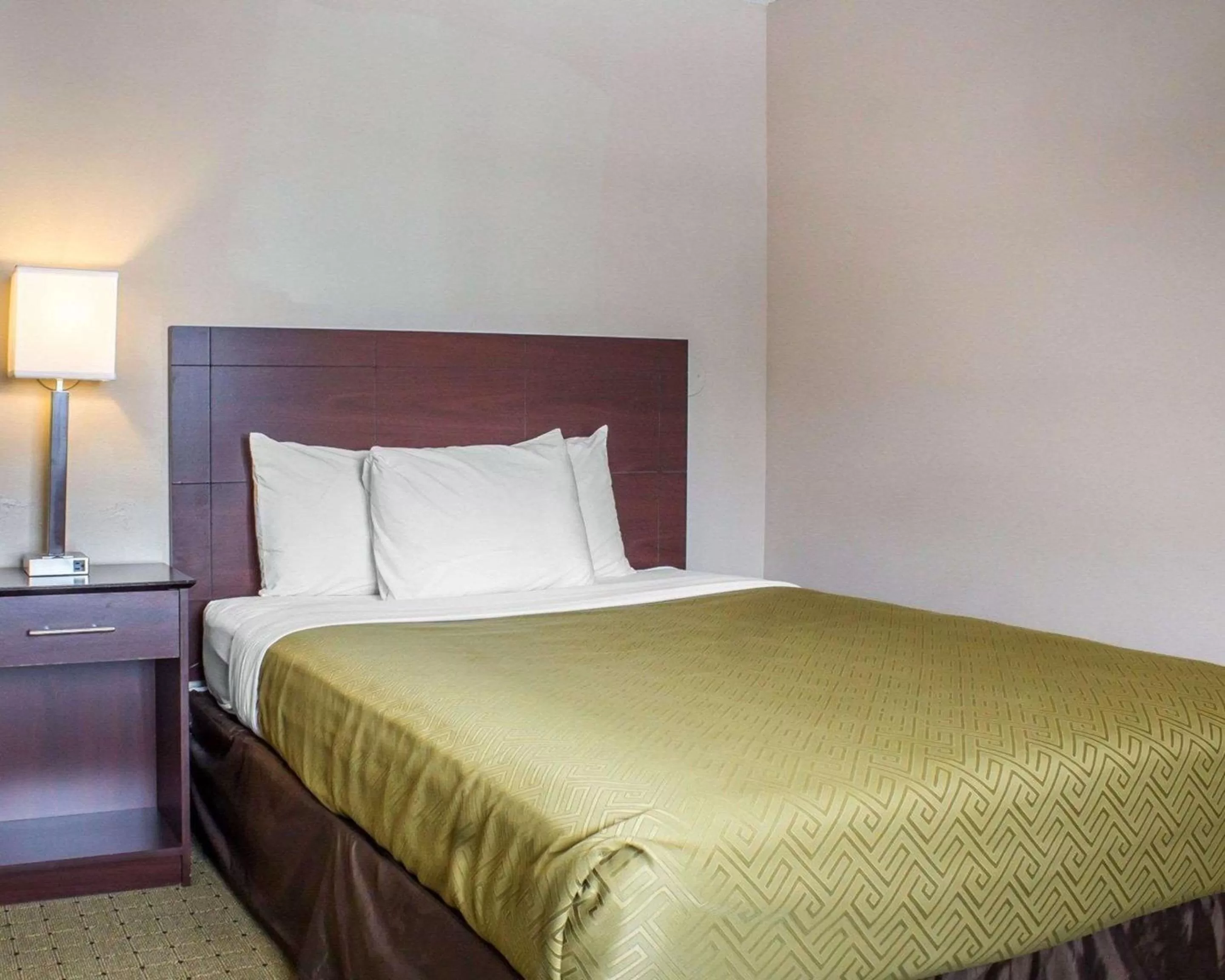 Photo of the whole room, Bed in Econo Lodge