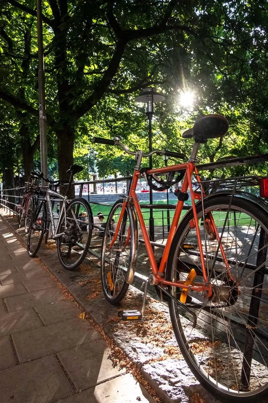 Neighbourhood in NOFO Hotel, WorldHotels Crafted