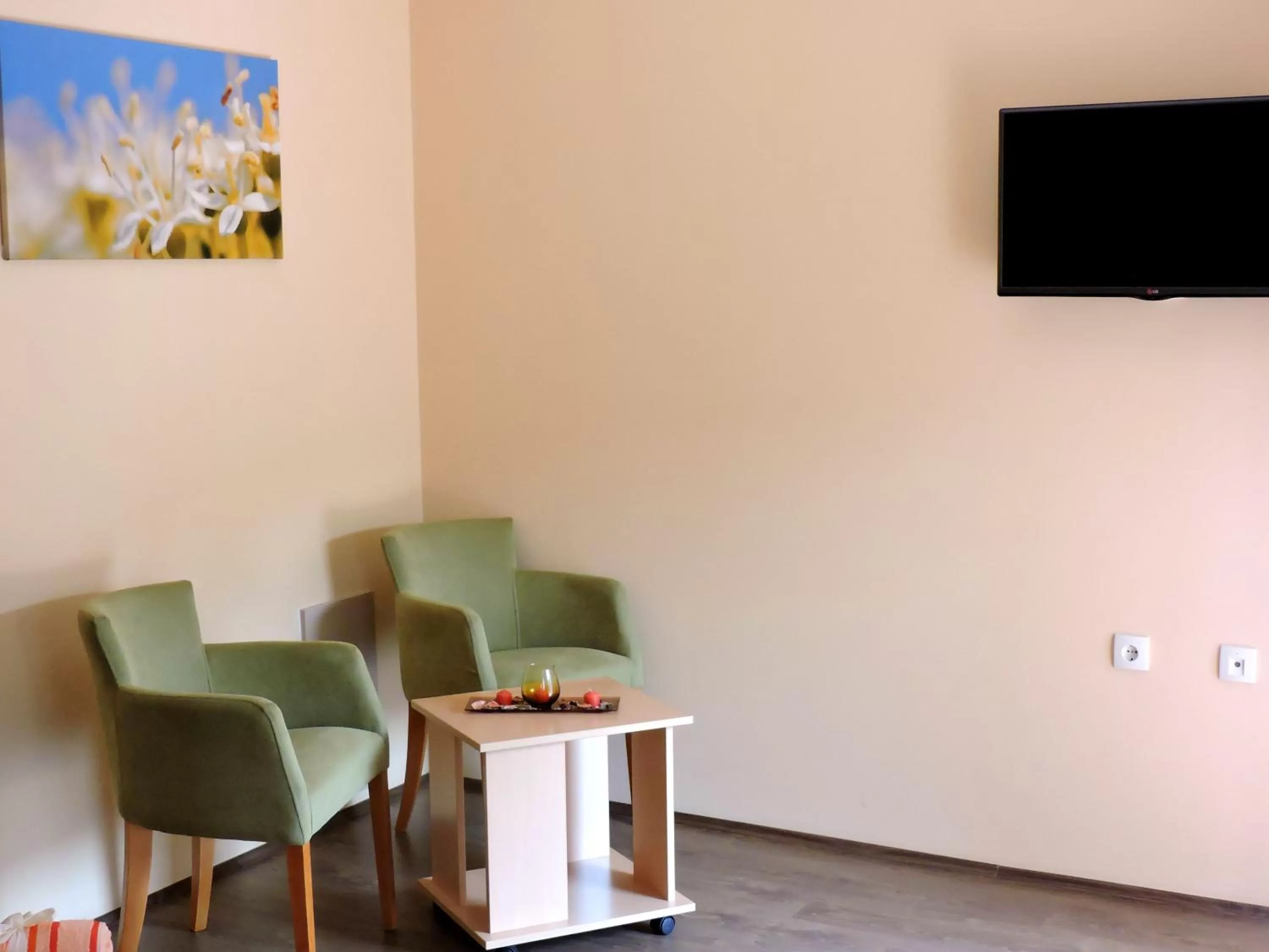 Seating area, TV/Entertainment Center in B&B Zmajevo Gnezdo 021