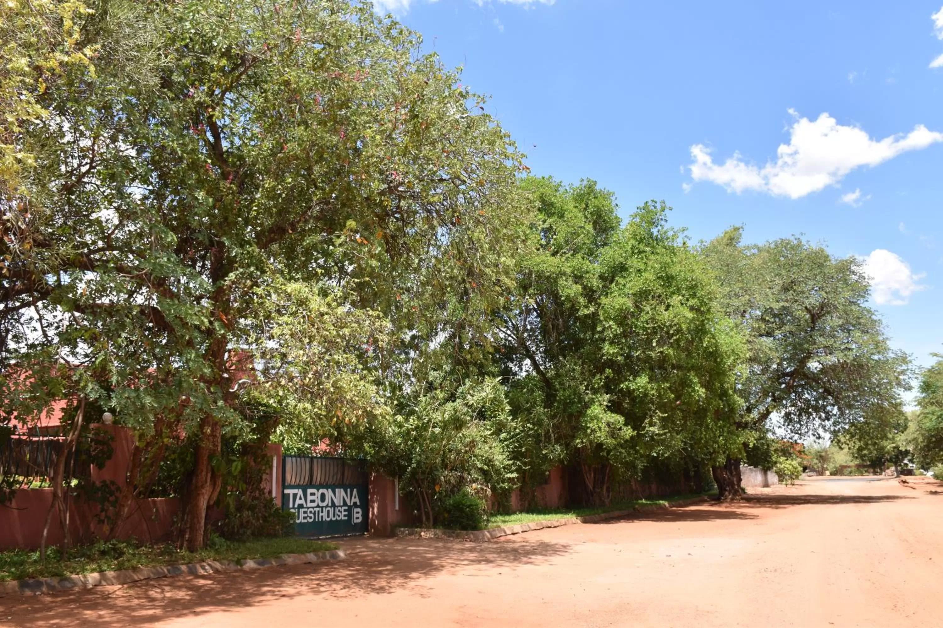 Natural landscape in Tabonina Bis