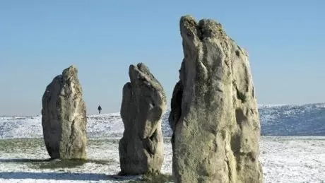Nearby landmark, Other Animals in B&B Dorwyn Manor