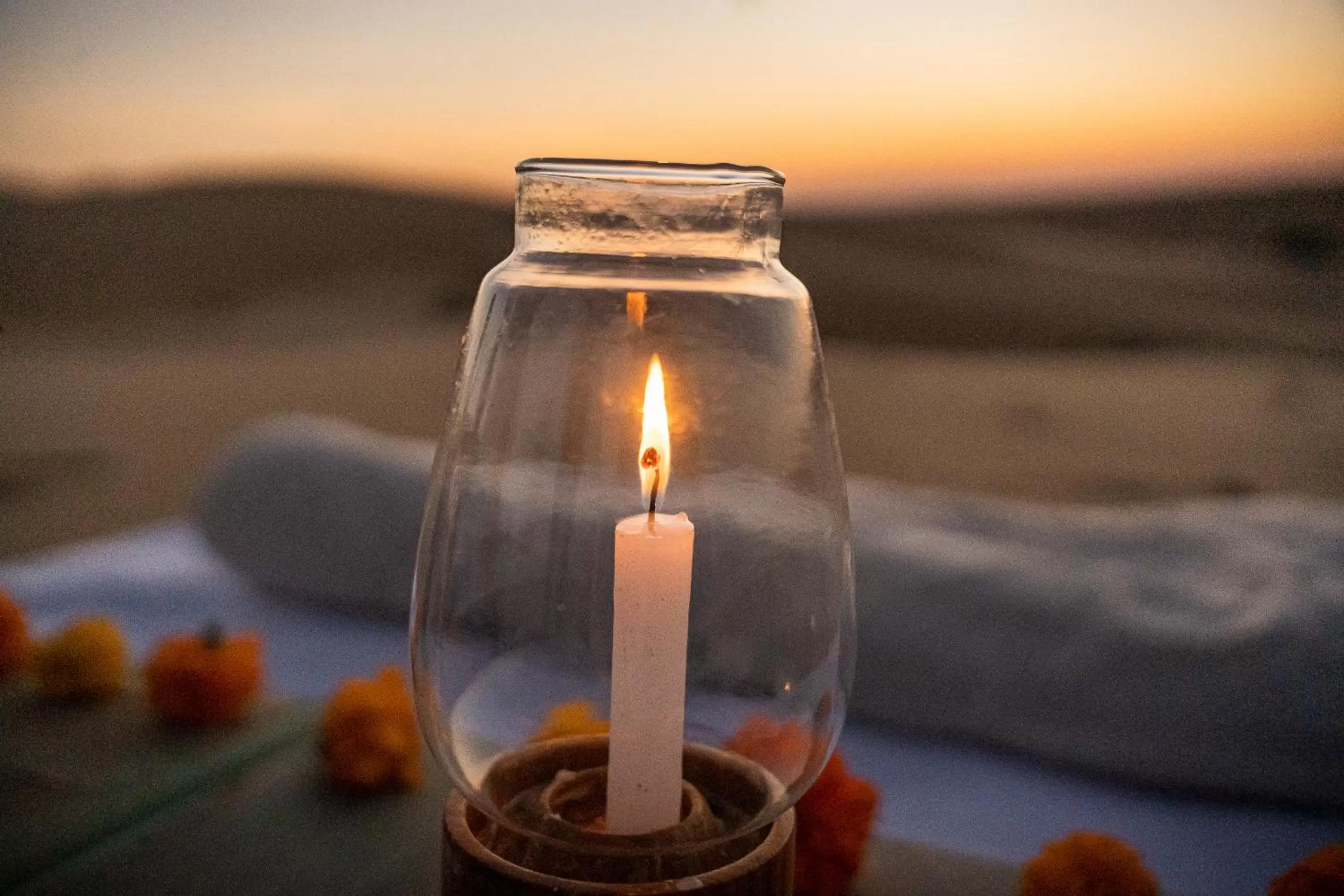 Natural landscape in Hotel Jasmin Haveli