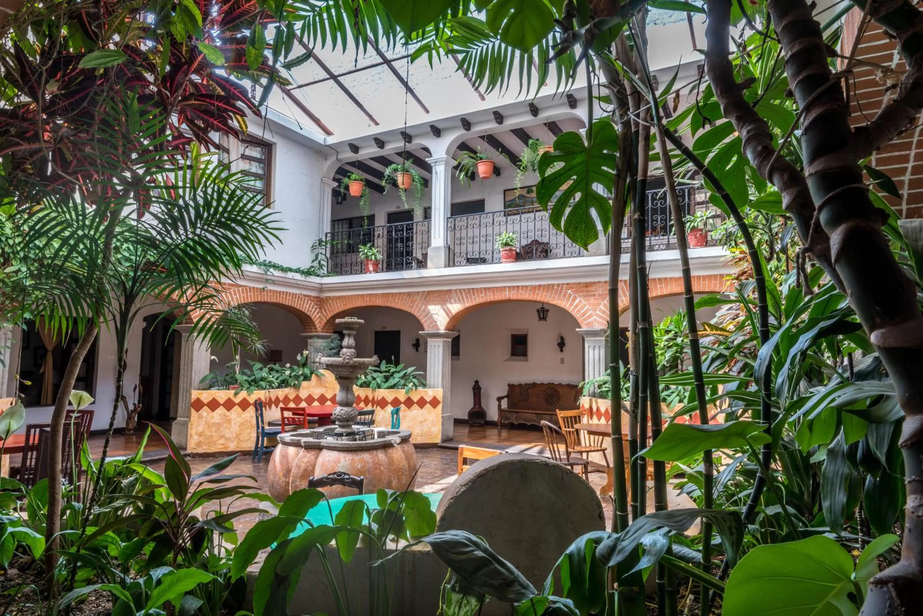 Garden in El Carmen Hotel