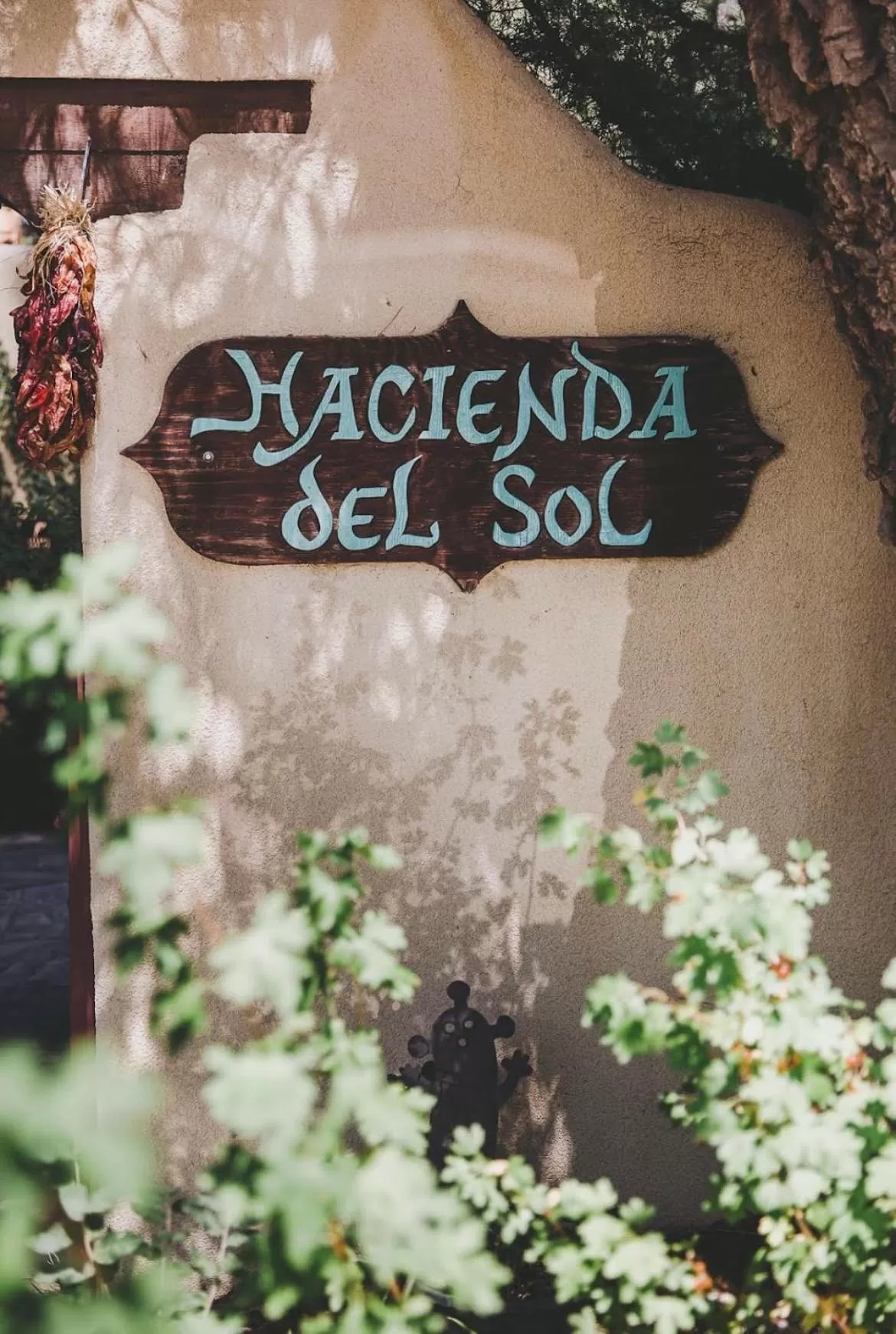Hacienda Del Sol Historic B&B