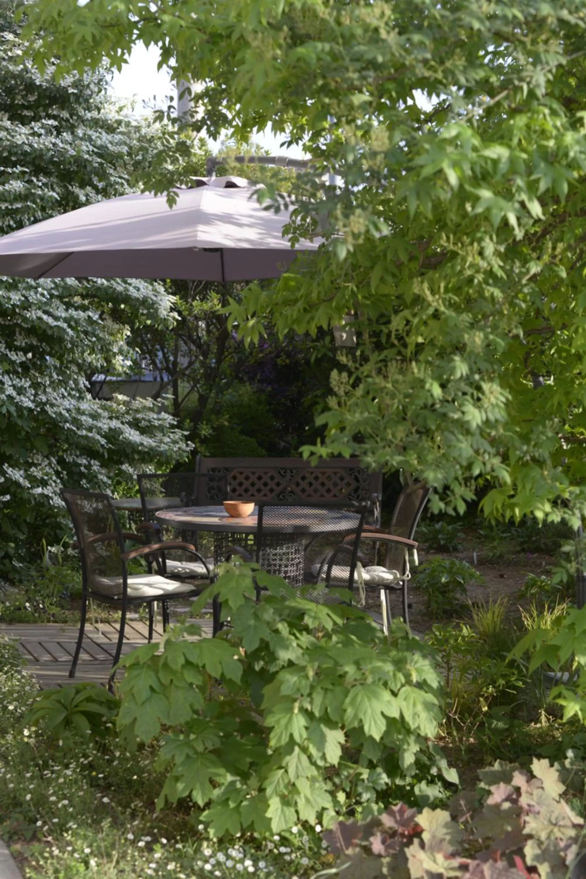 Garden in Casa Stucky