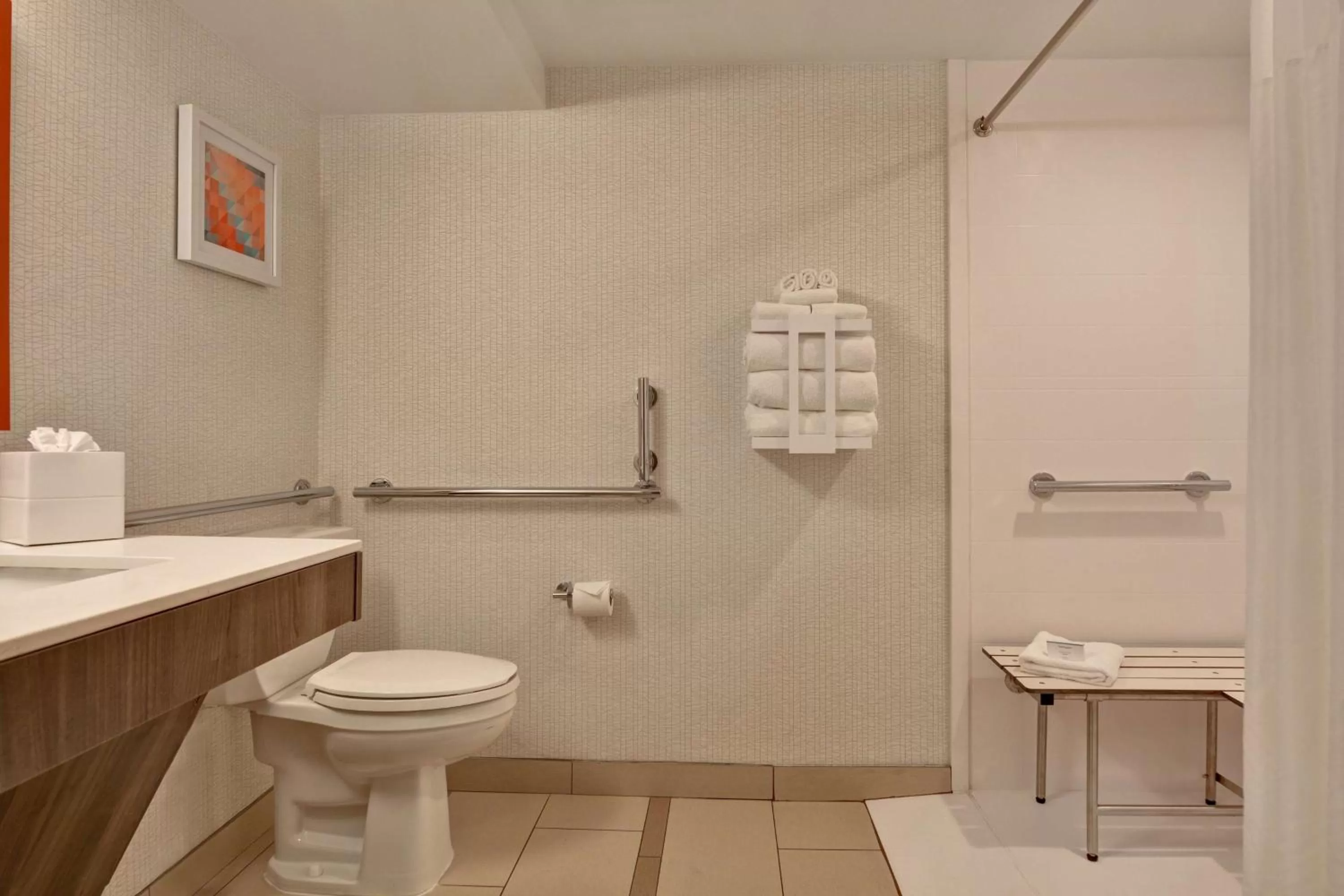 Bathroom in Hampton Inn Anderson