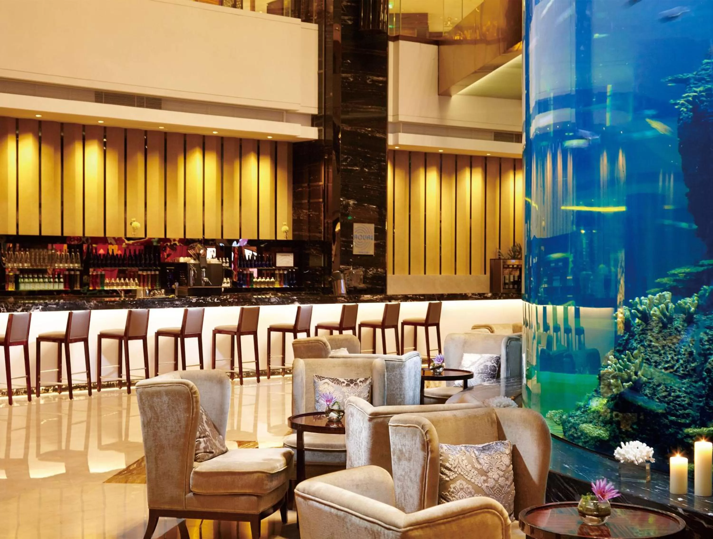 Restaurant/places to eat in Hilton Foshan