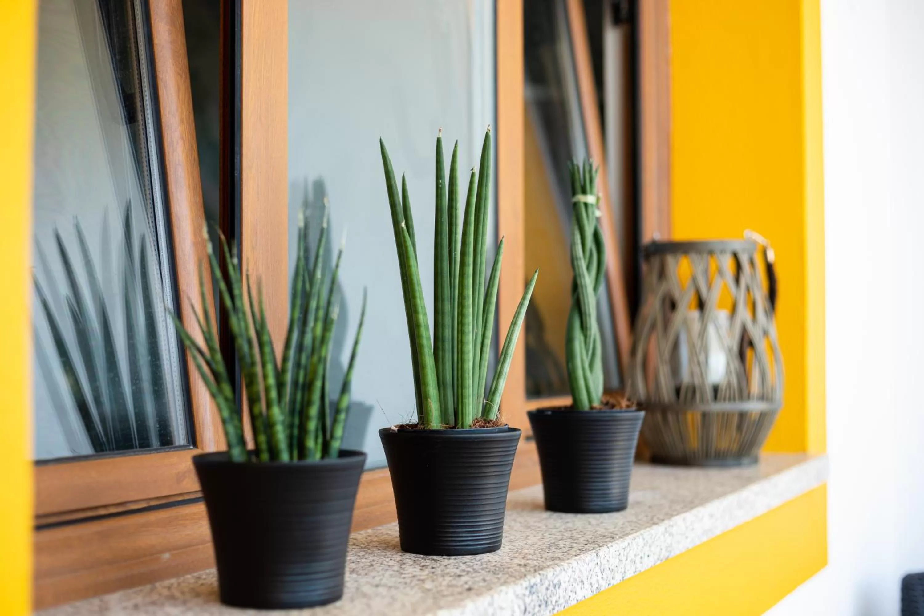 Decorative detail in Porto D'Abrigo - Alojamento Local