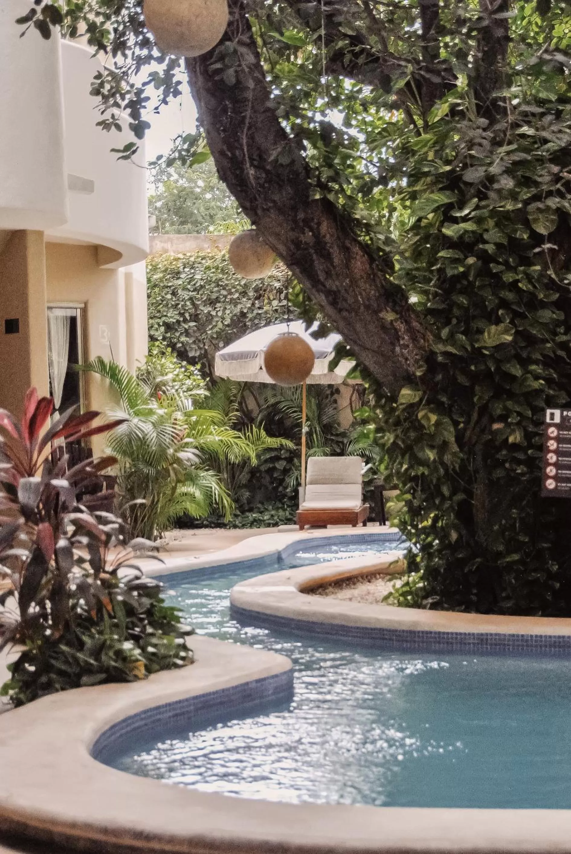 Swimming pool in Boutique Hotel Posada 06 Tulum