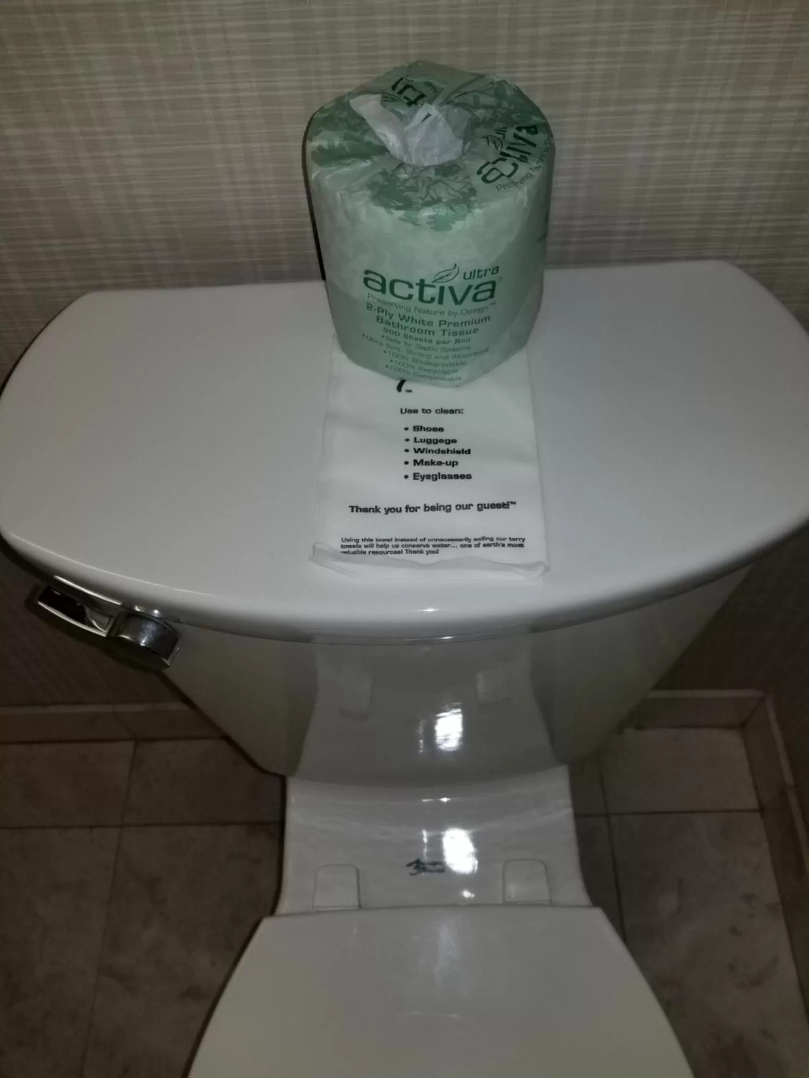 Toilet in Chelsea Inn