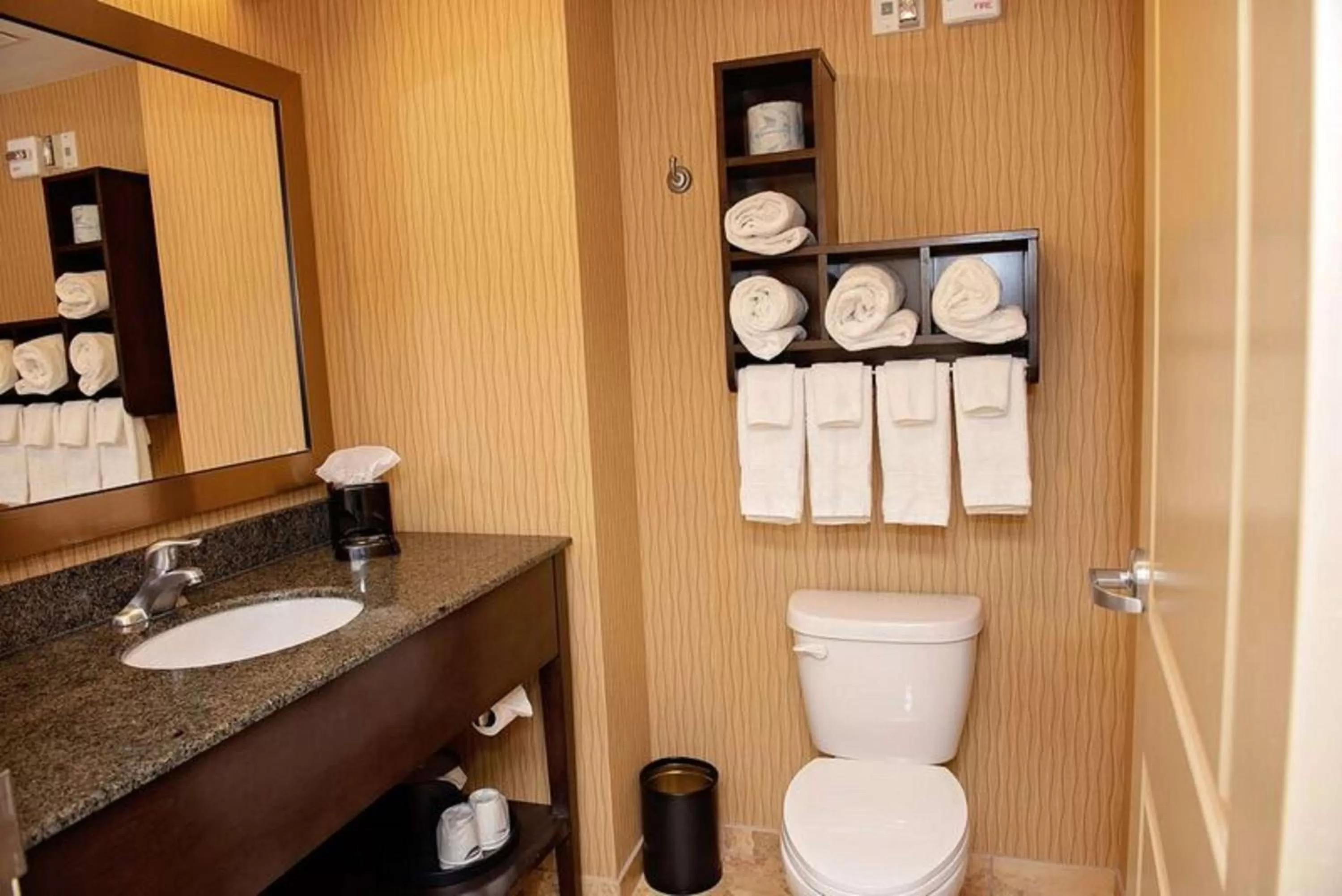 Bathroom in Hampton Inn & Suites Bradenton