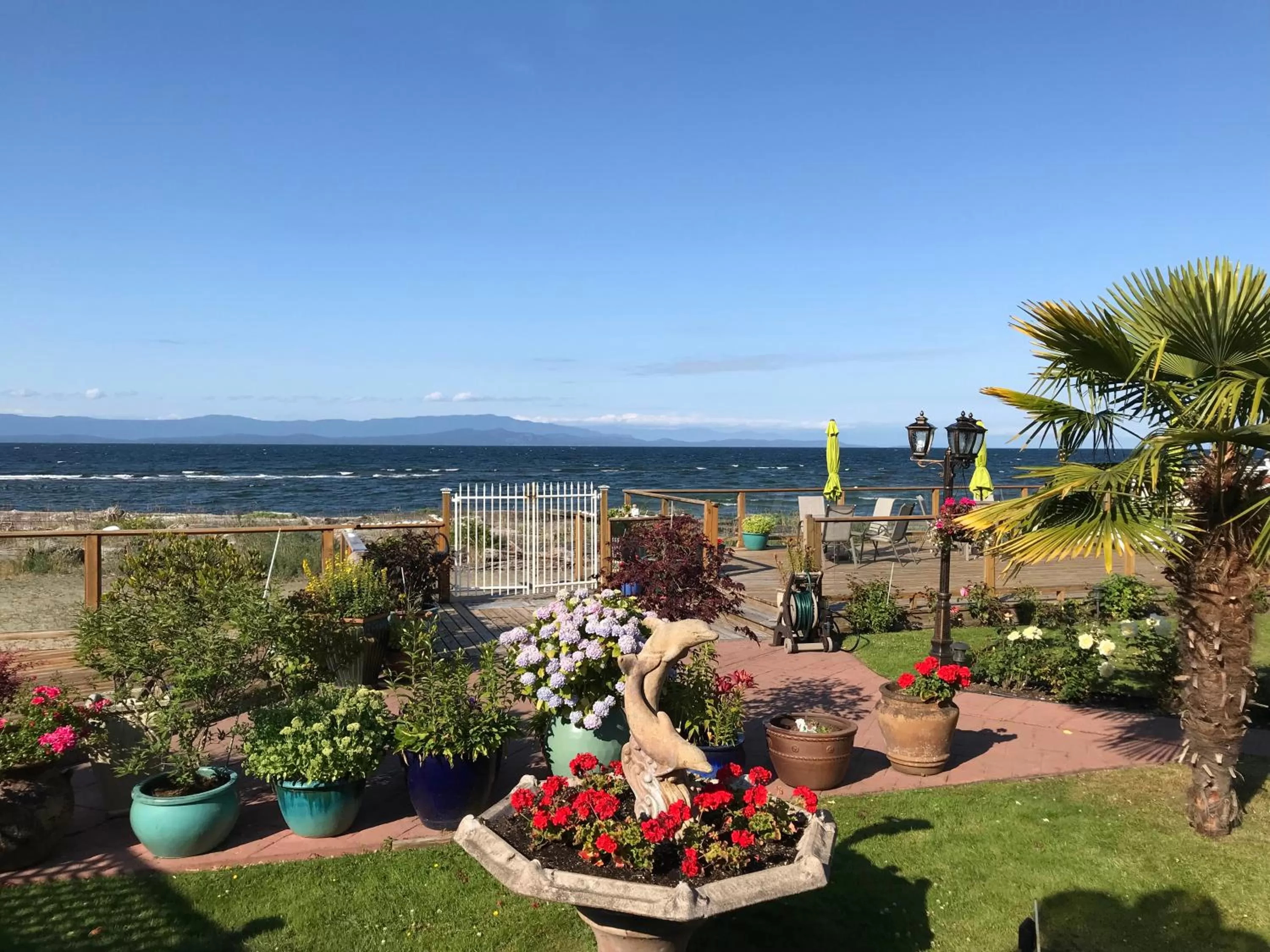 Buena Vista by the Sea