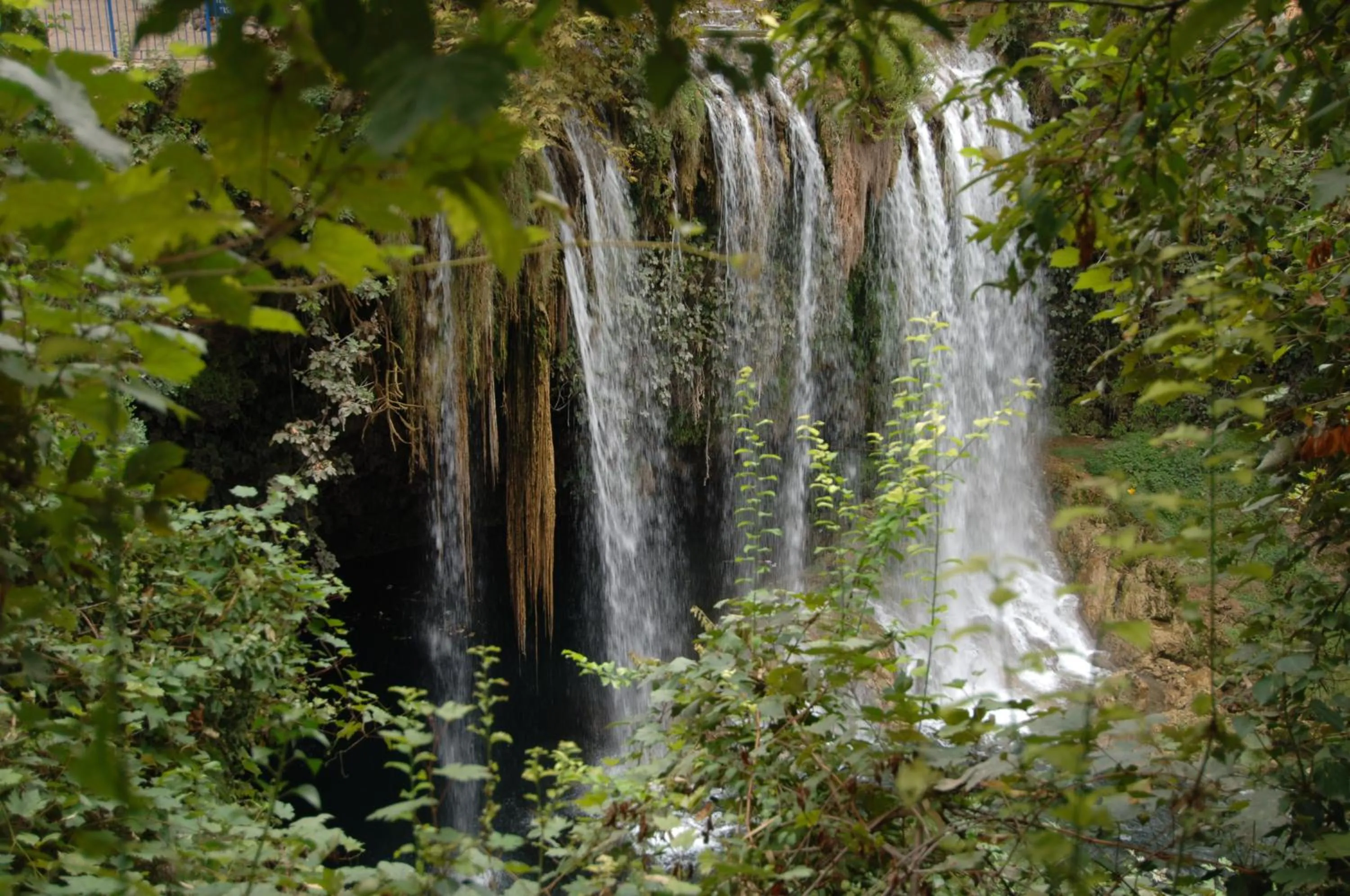 Area and facilities in Lara Diamond Hotel