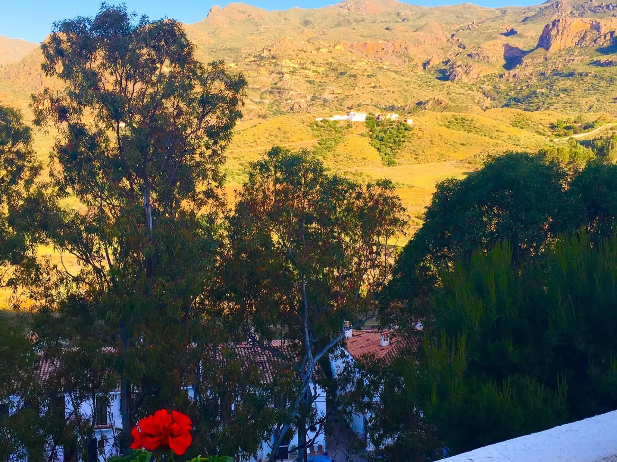 Garden view in Apartamento rural Casa Medico