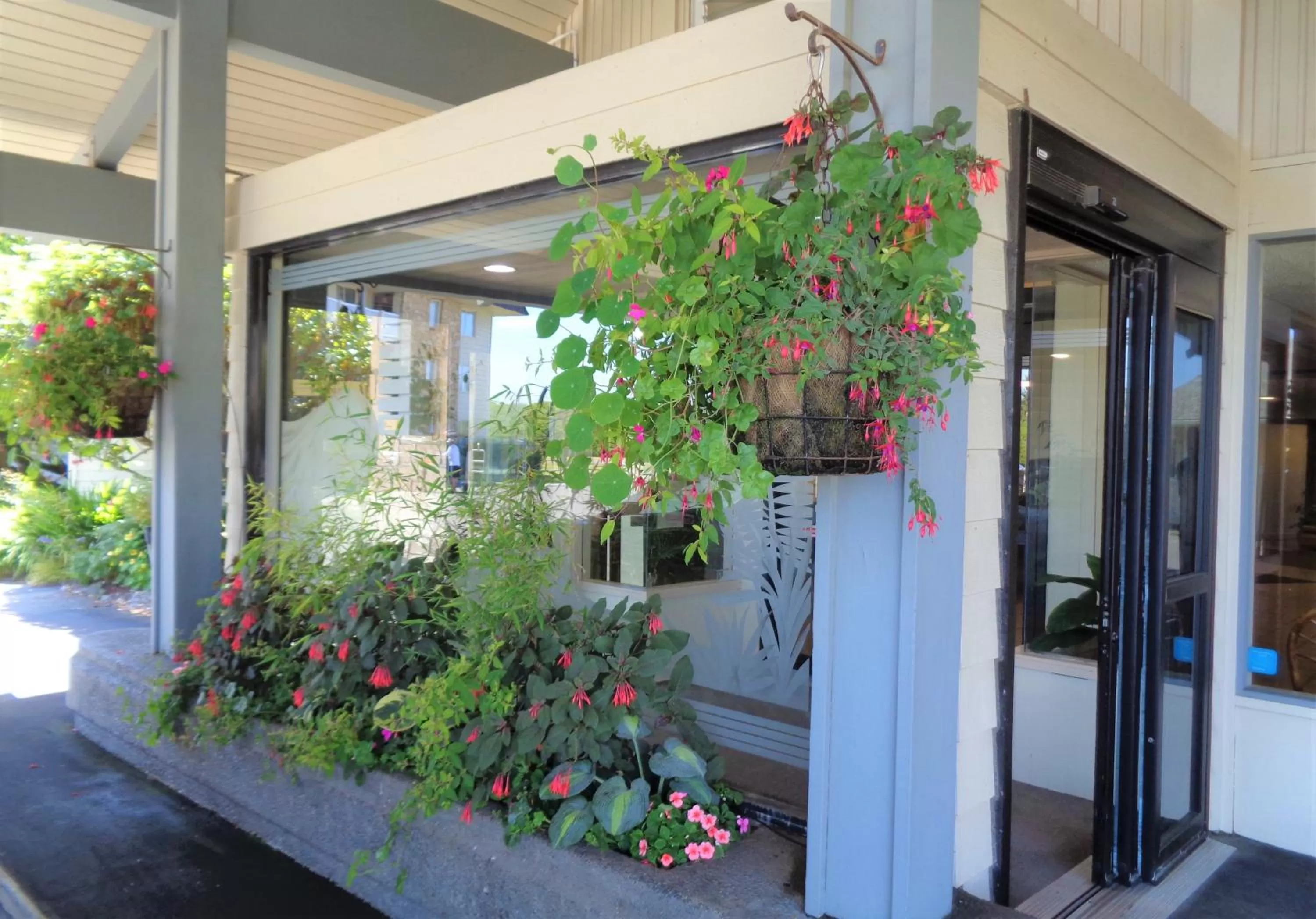 Hotel Room, 2 Queens, Non View, Dog Friendly - single occupancy in The Polynesian Resort