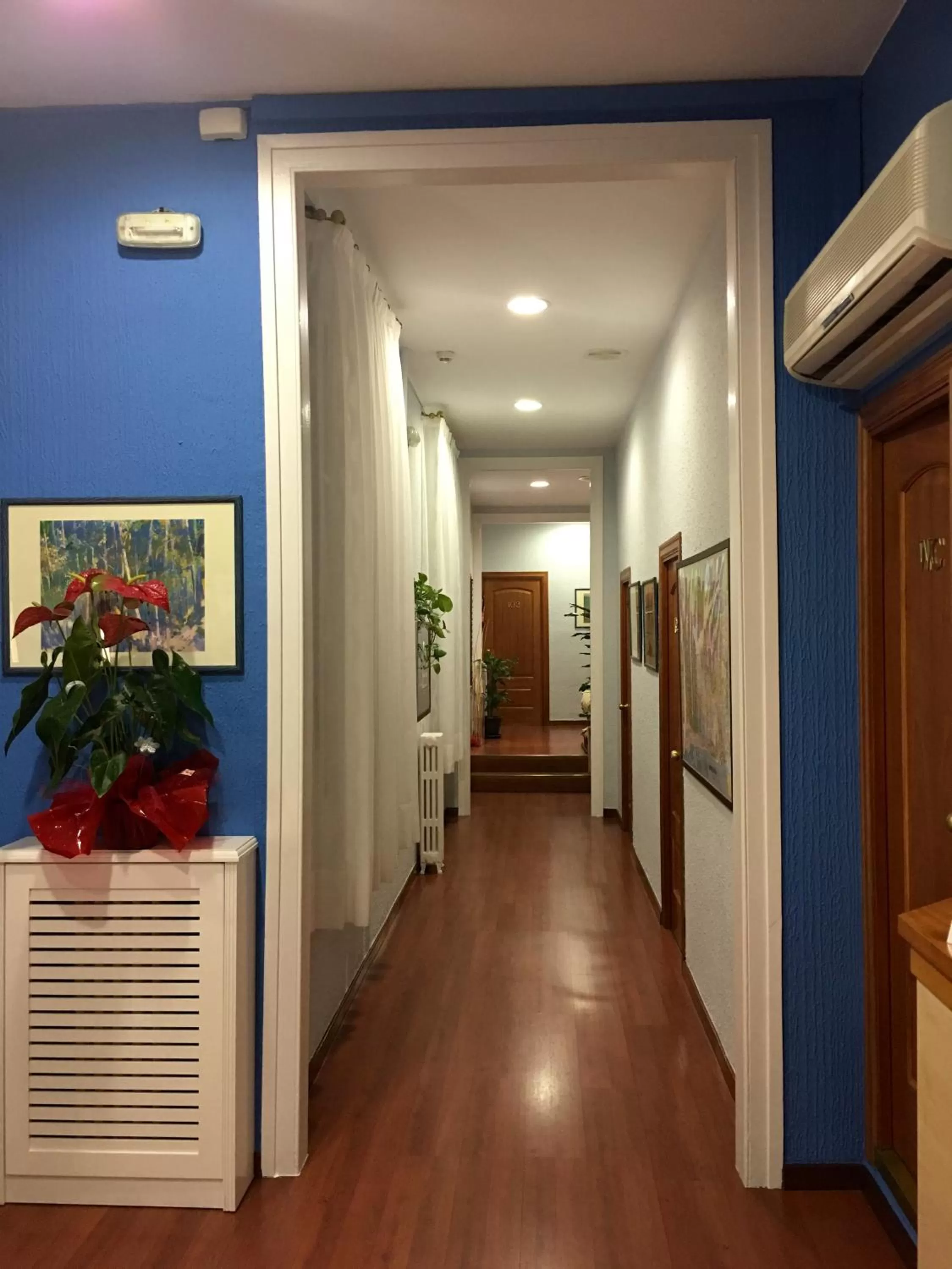 Area and facilities in Hotel Pelayo