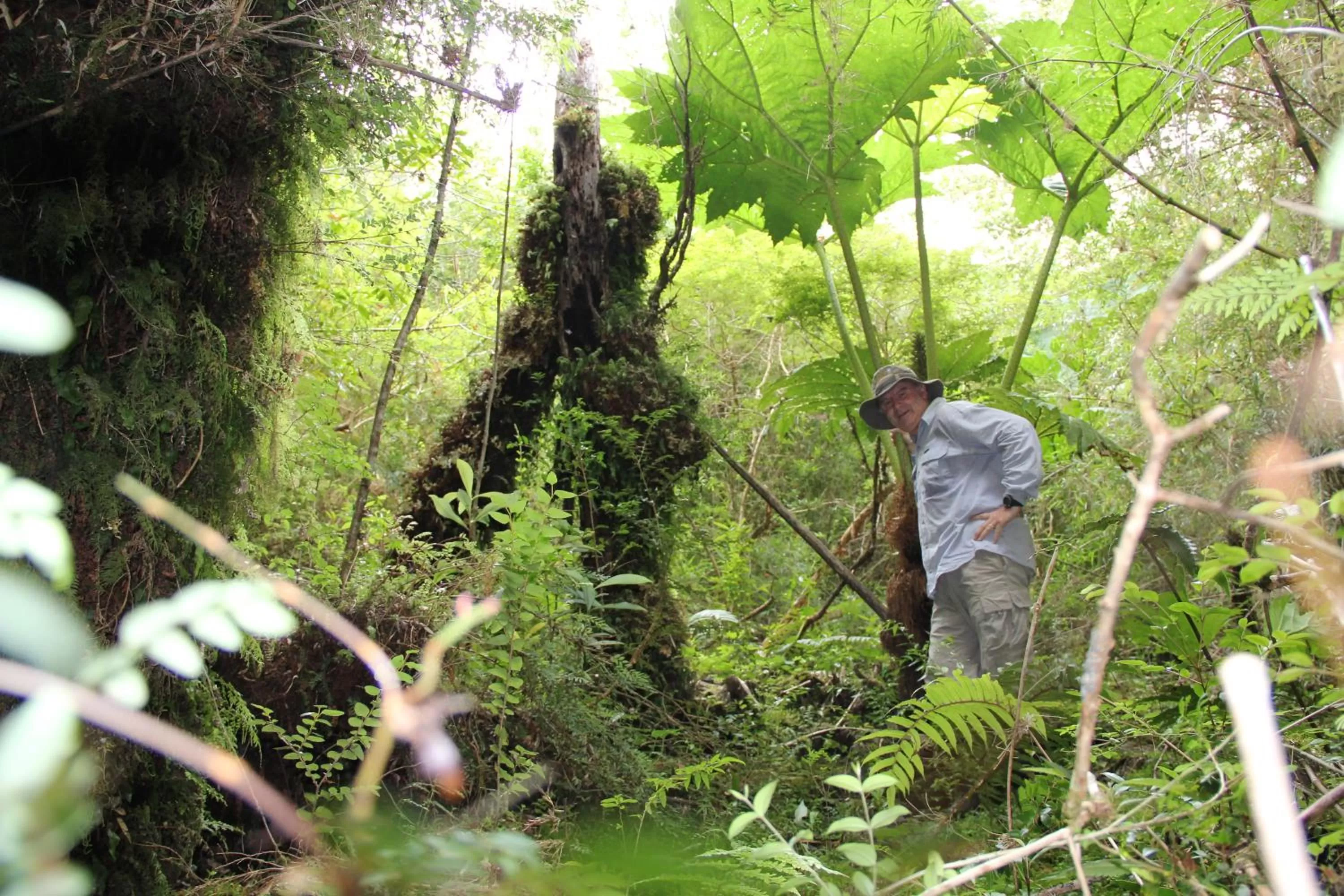 Area and facilities in Posada Queulat