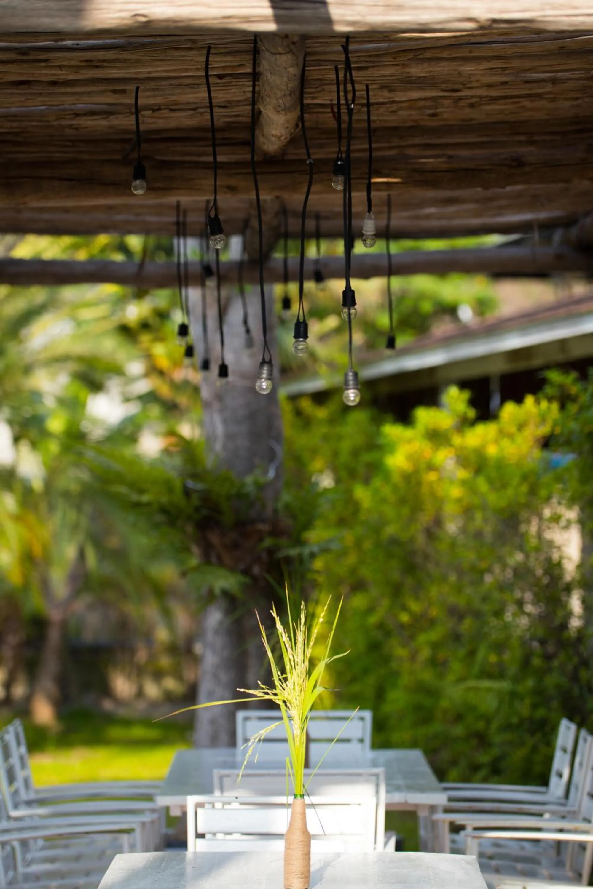 View (from property/room) in Naina Resort & Spa - SHA Extra Plus