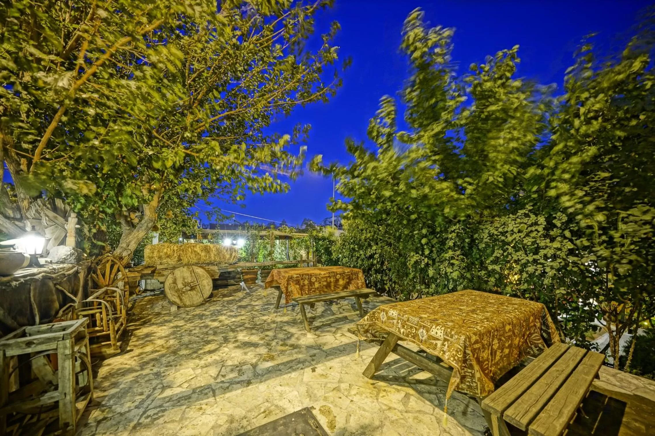 Garden in Maron Stone House
