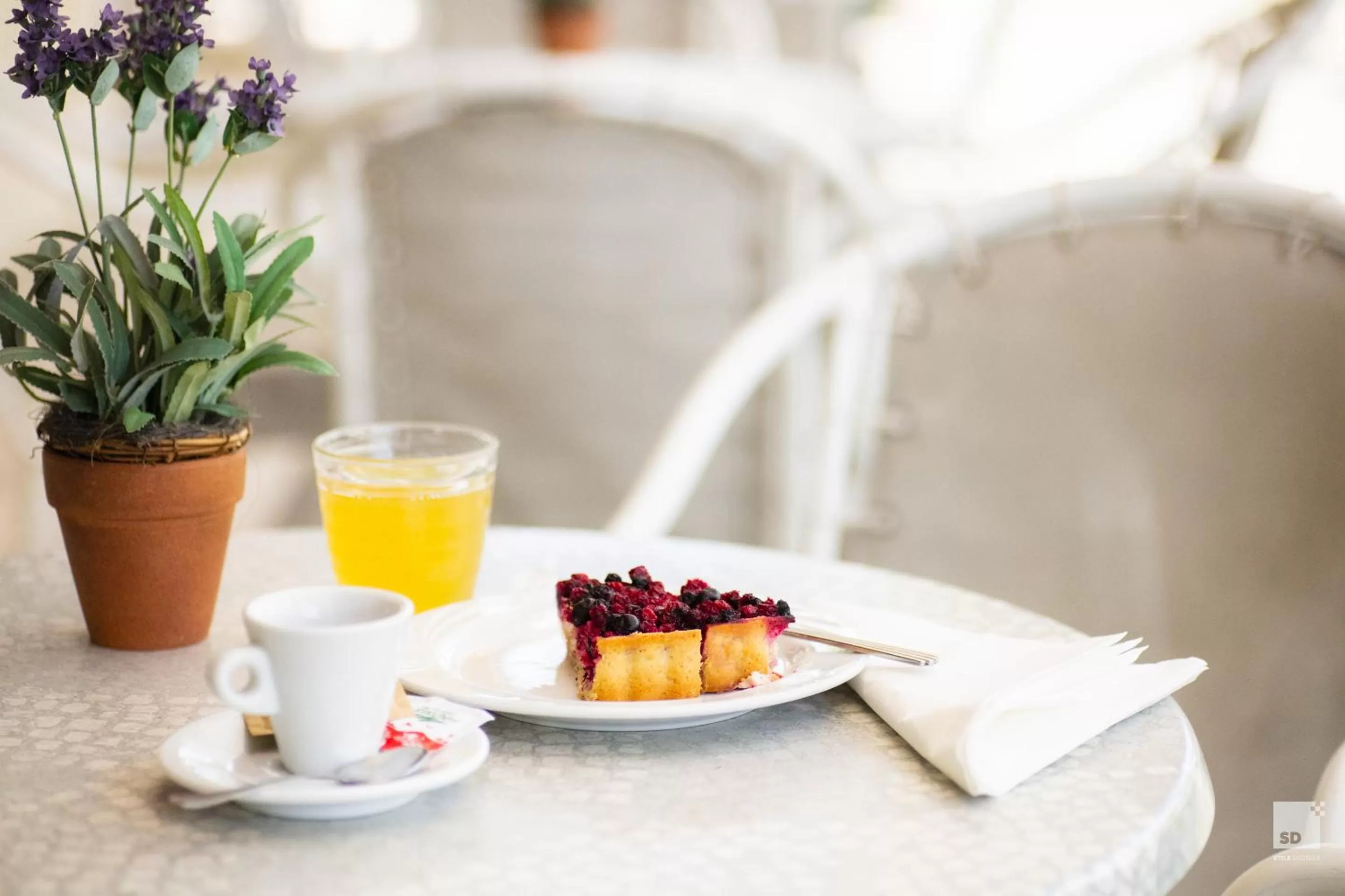 Breakfast in Hotel Fattori Mare