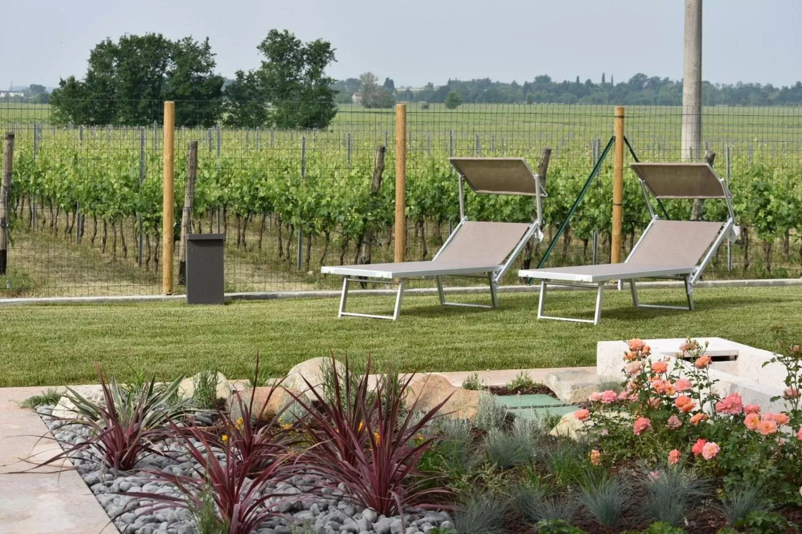 Garden in Il Vigneto