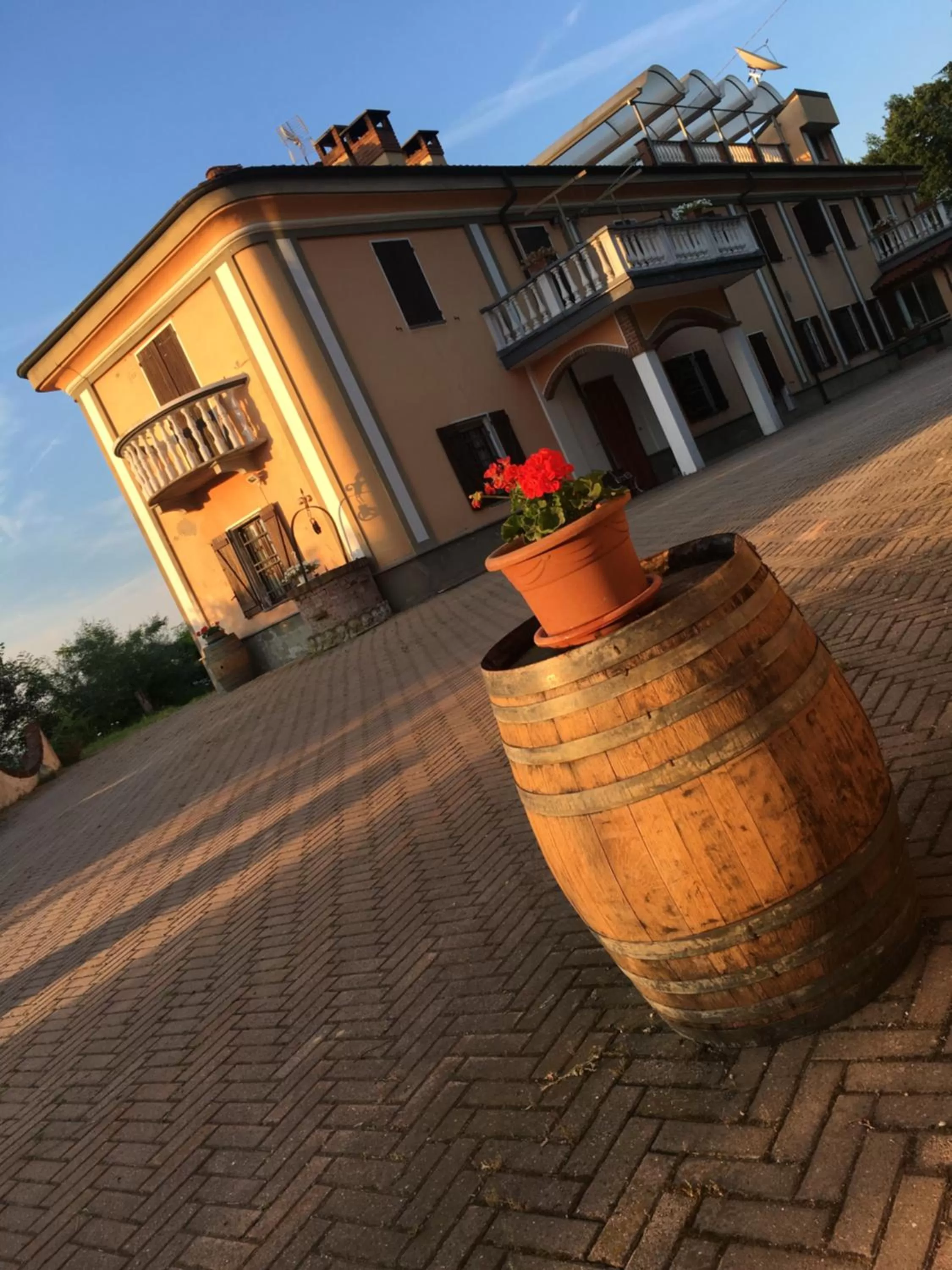 Rossella alla Villarella dei Tulipani