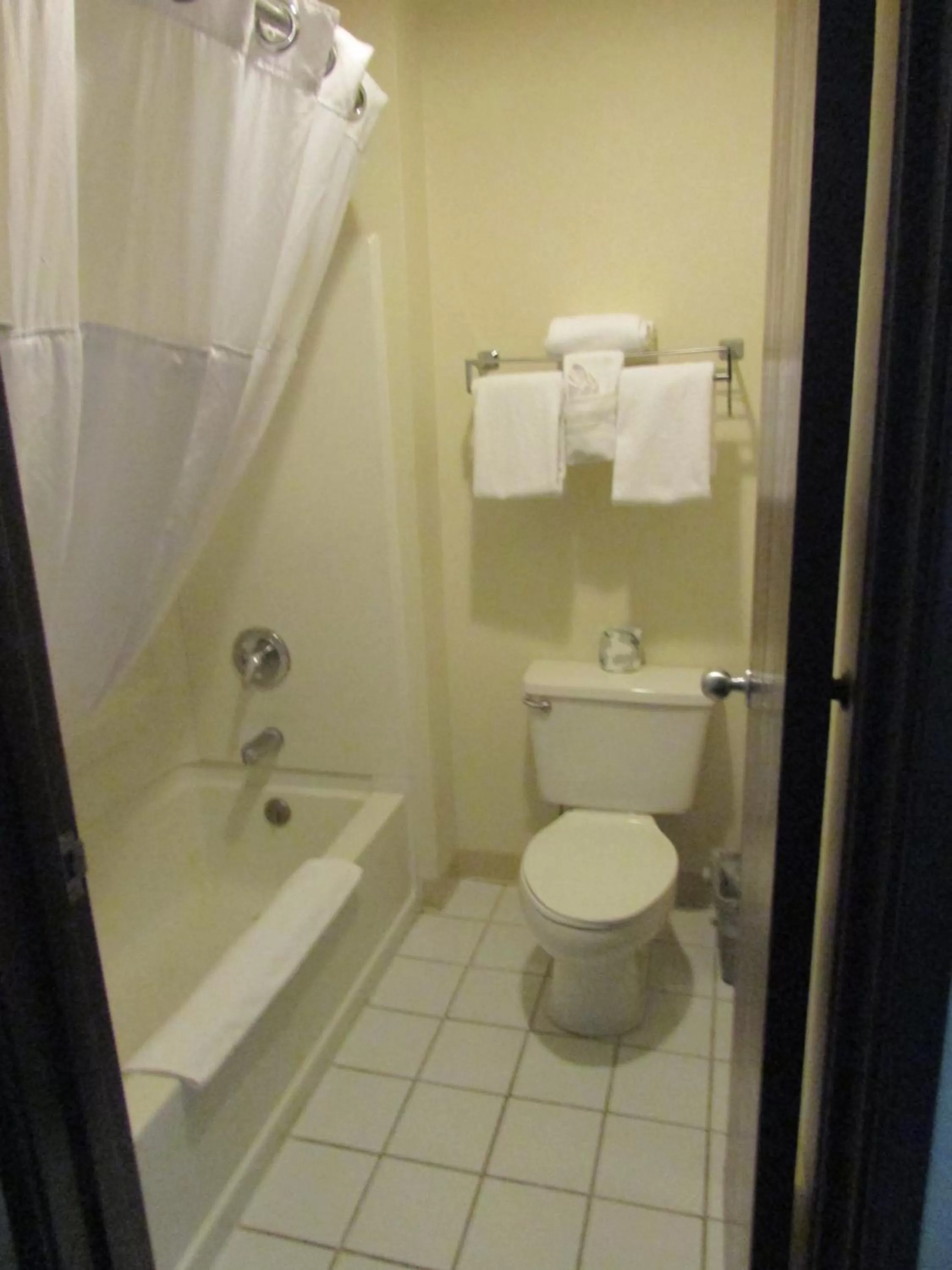 Bathroom in GreenTree Inn Montrose