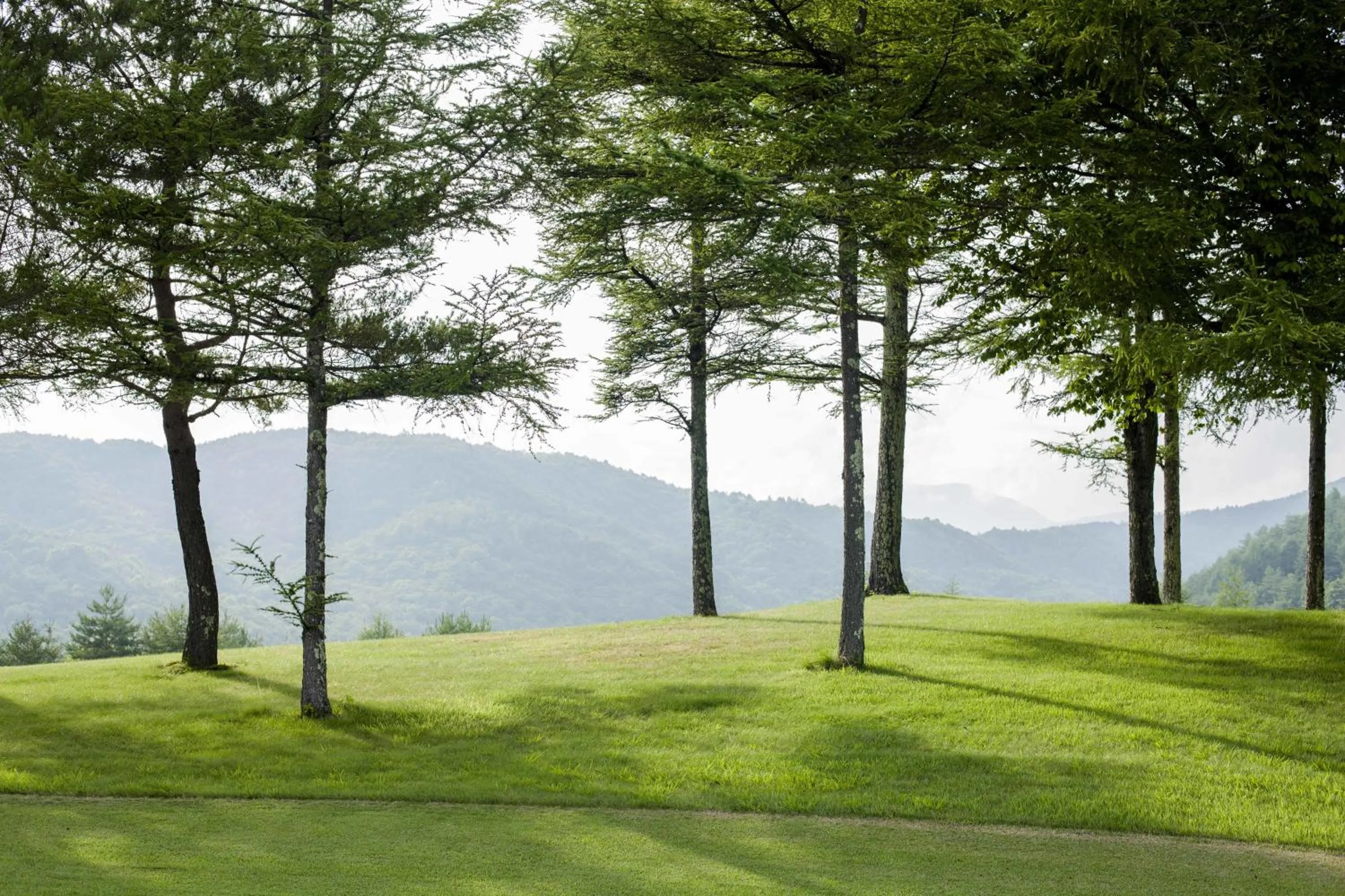 Area and facilities in Tsumagoi Prince Hotel