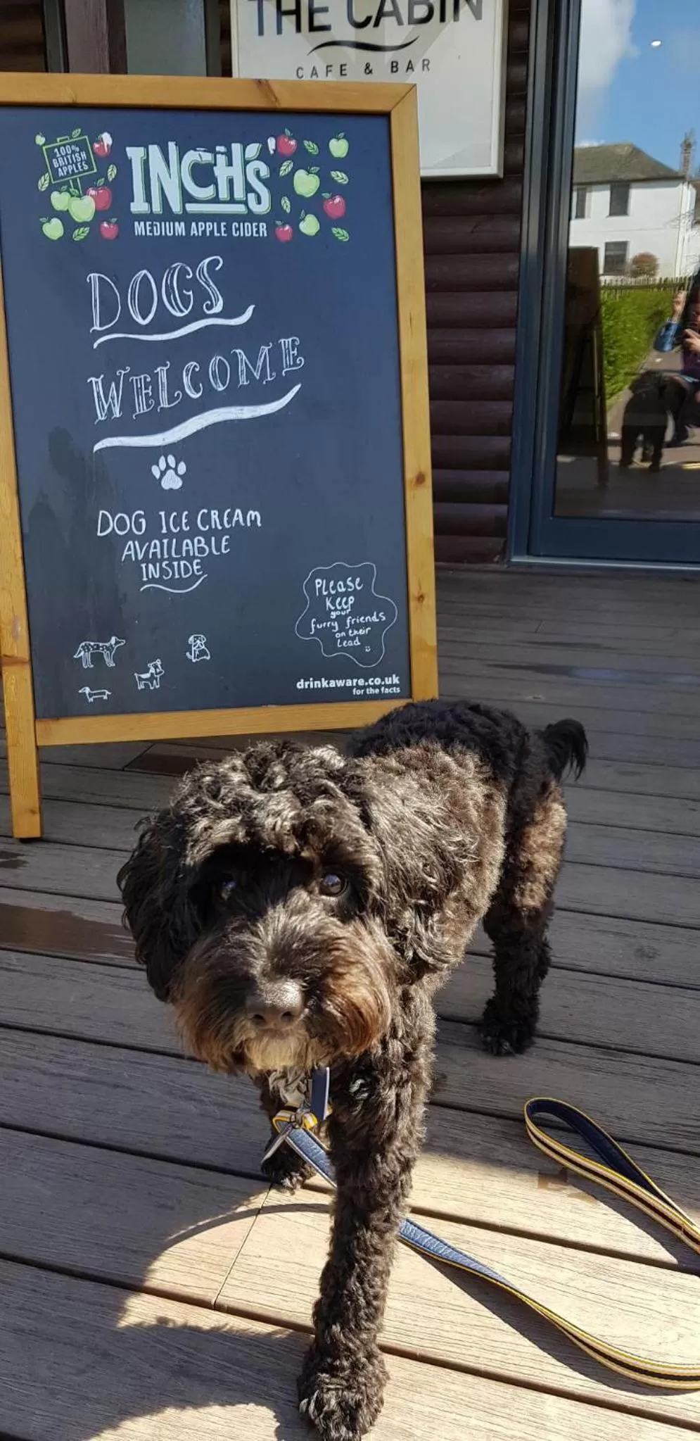Dining area in China Fleet Country Club