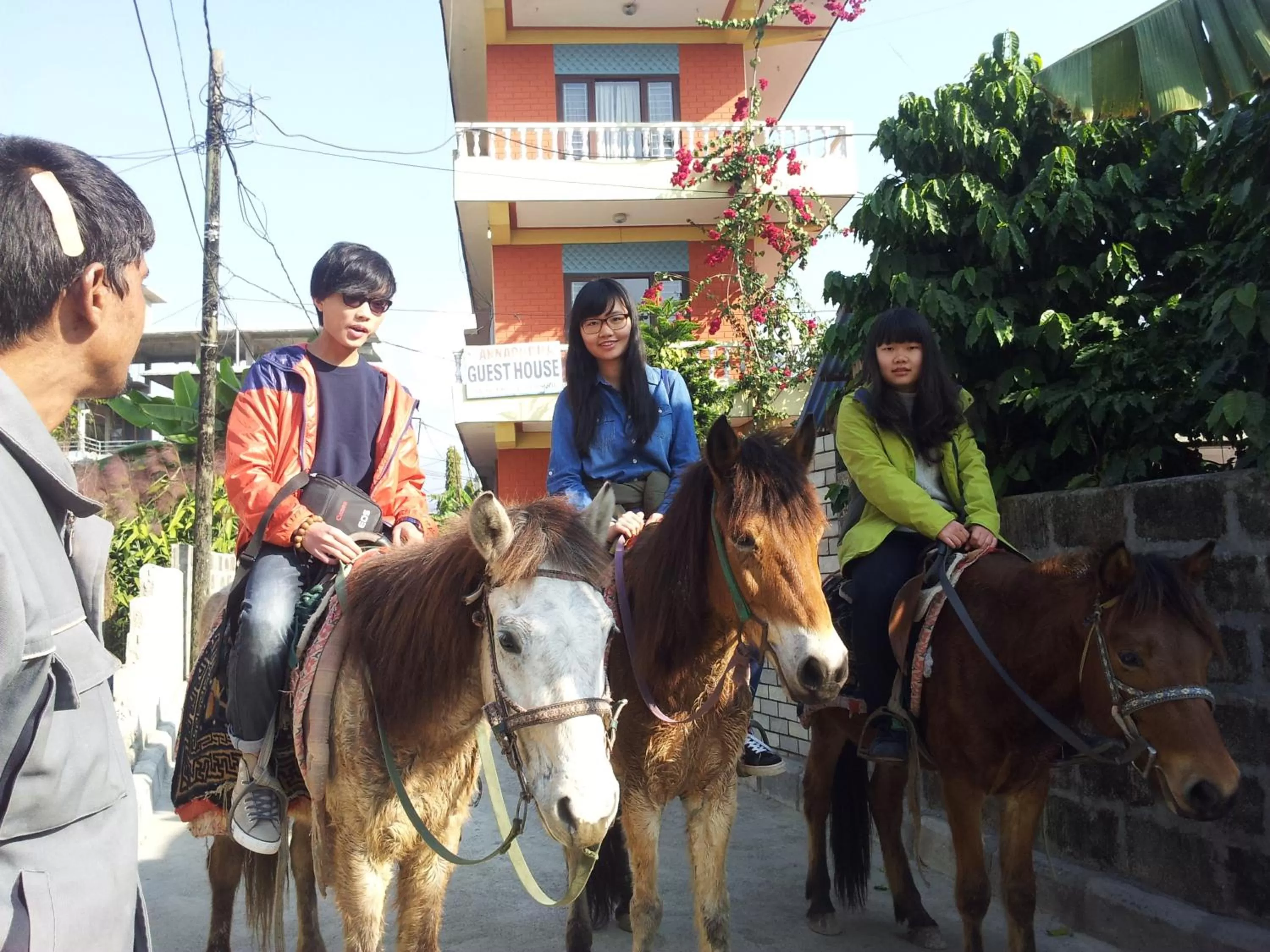Horse-riding in New Annapurna Guest House