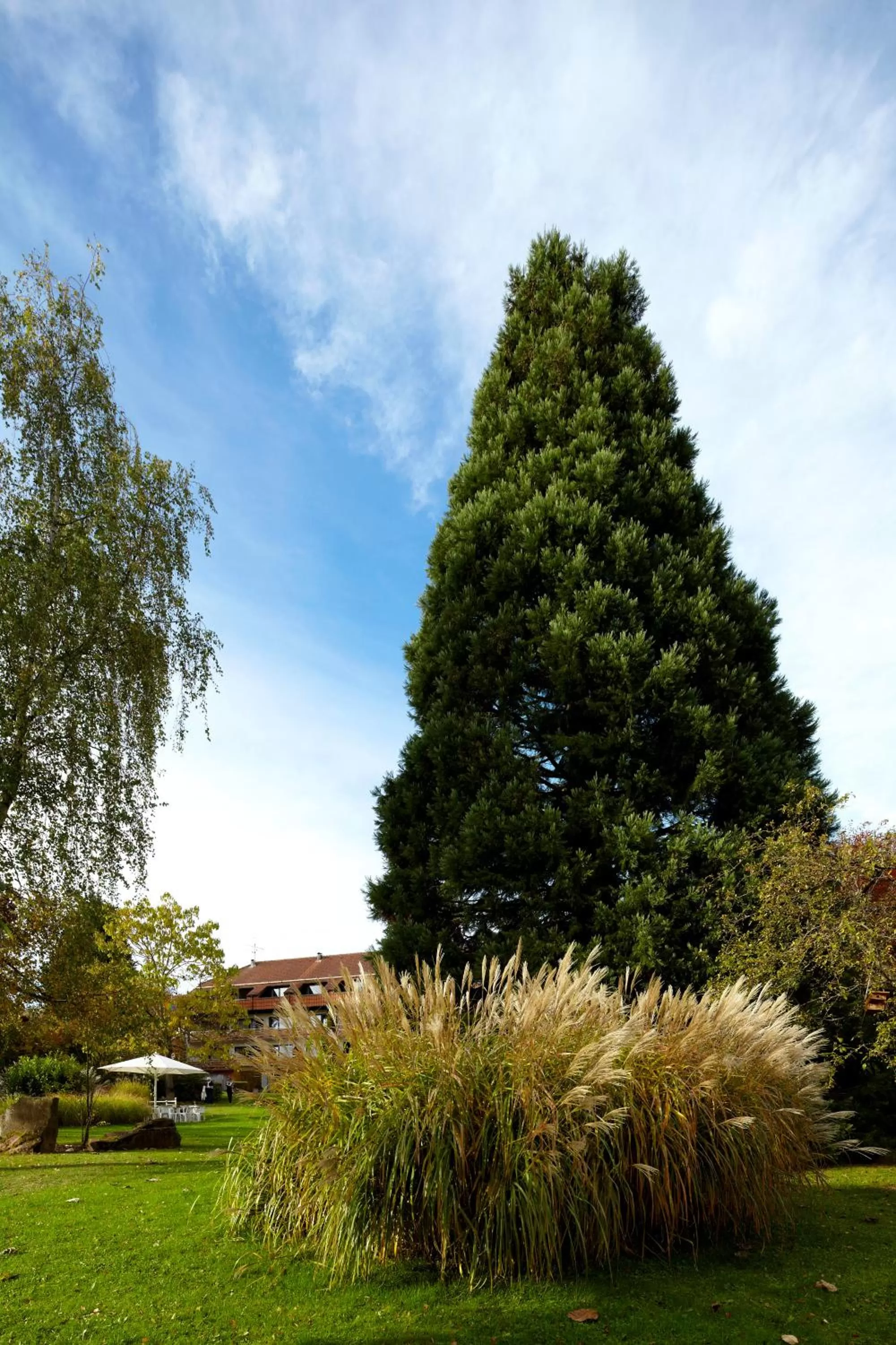 Garden in NaturKulturHotel Stumpf