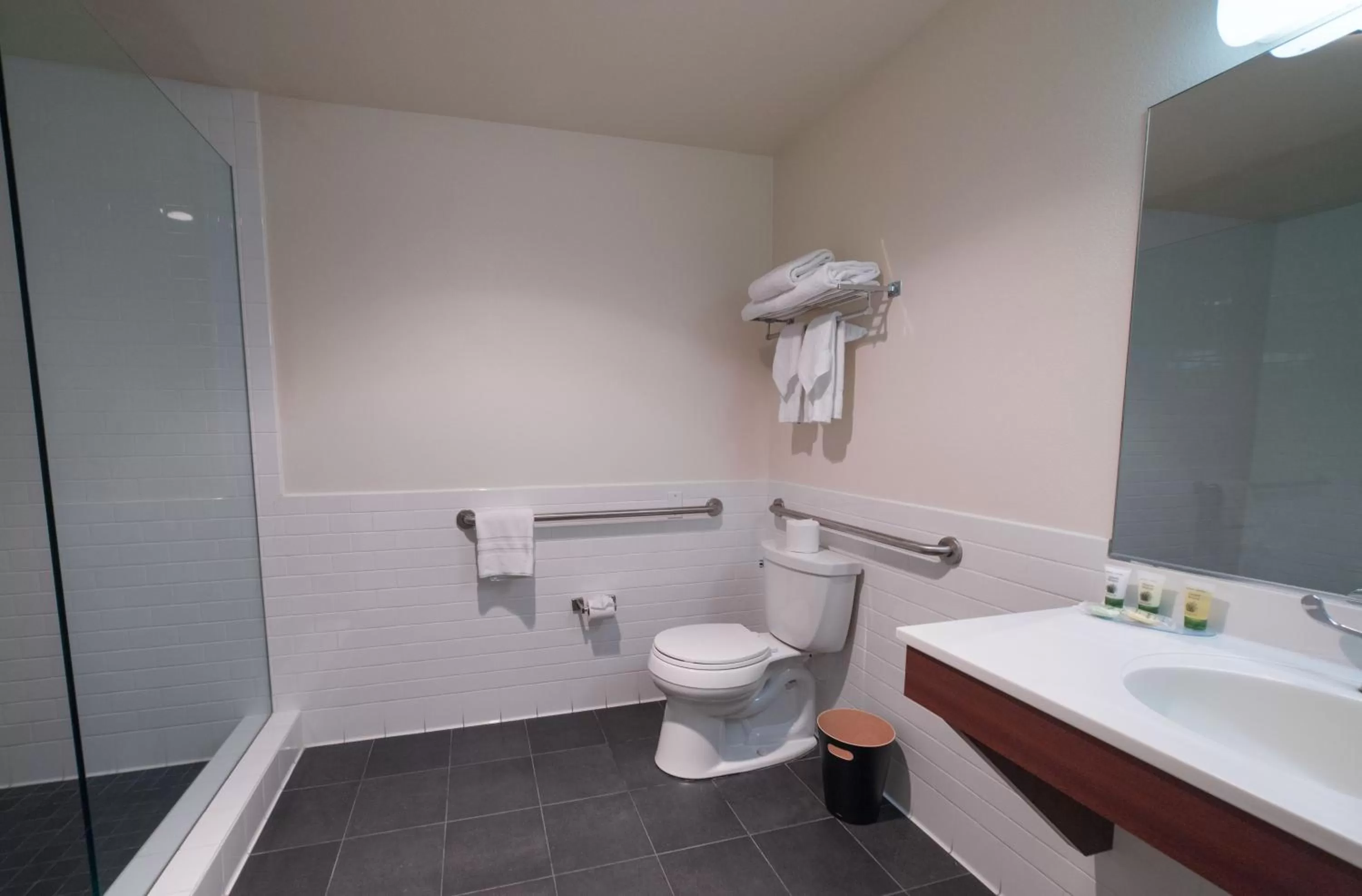 Bathroom in Lemon Tree Inn