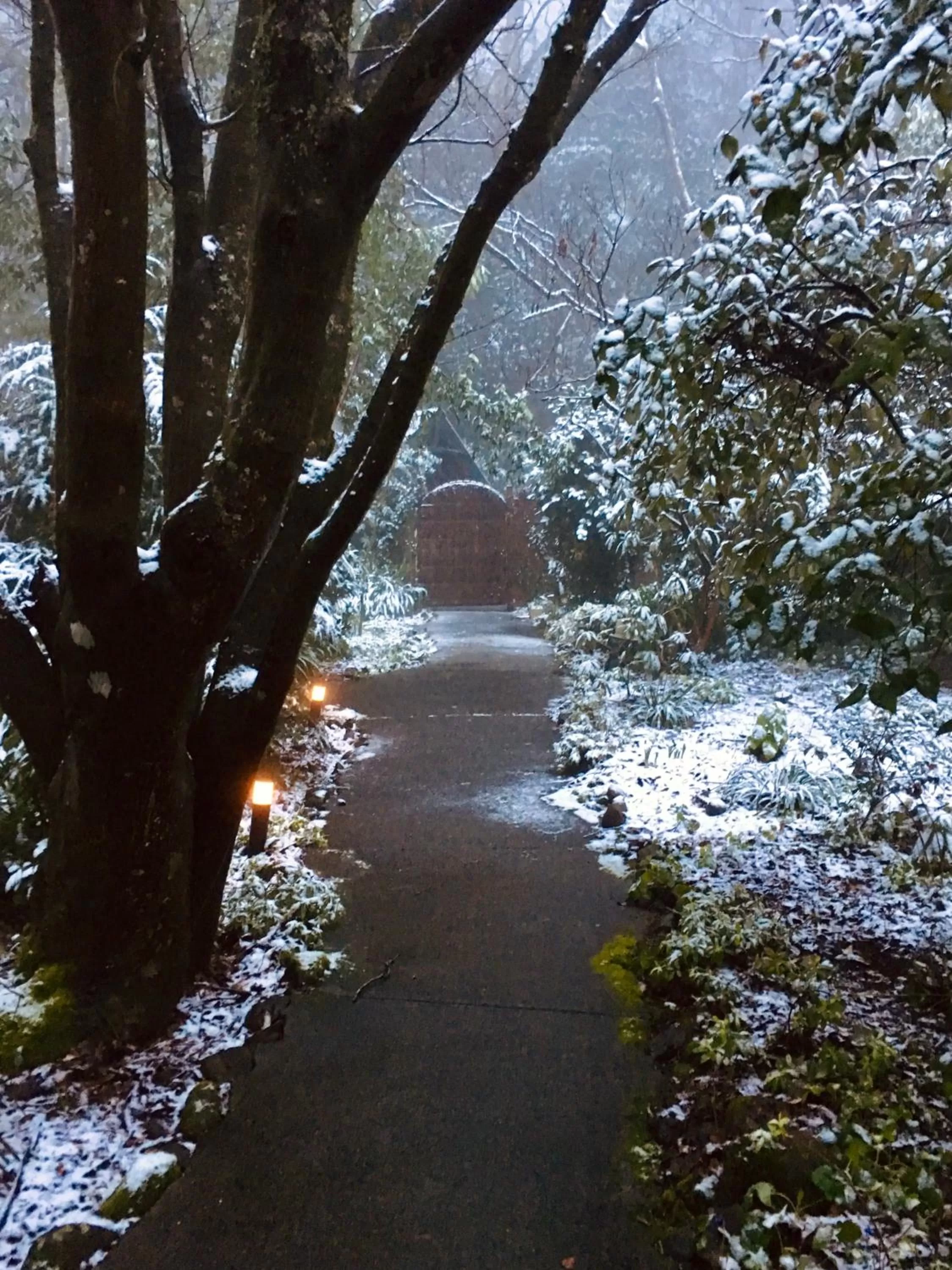 Natural landscape in Cambridge Cottages