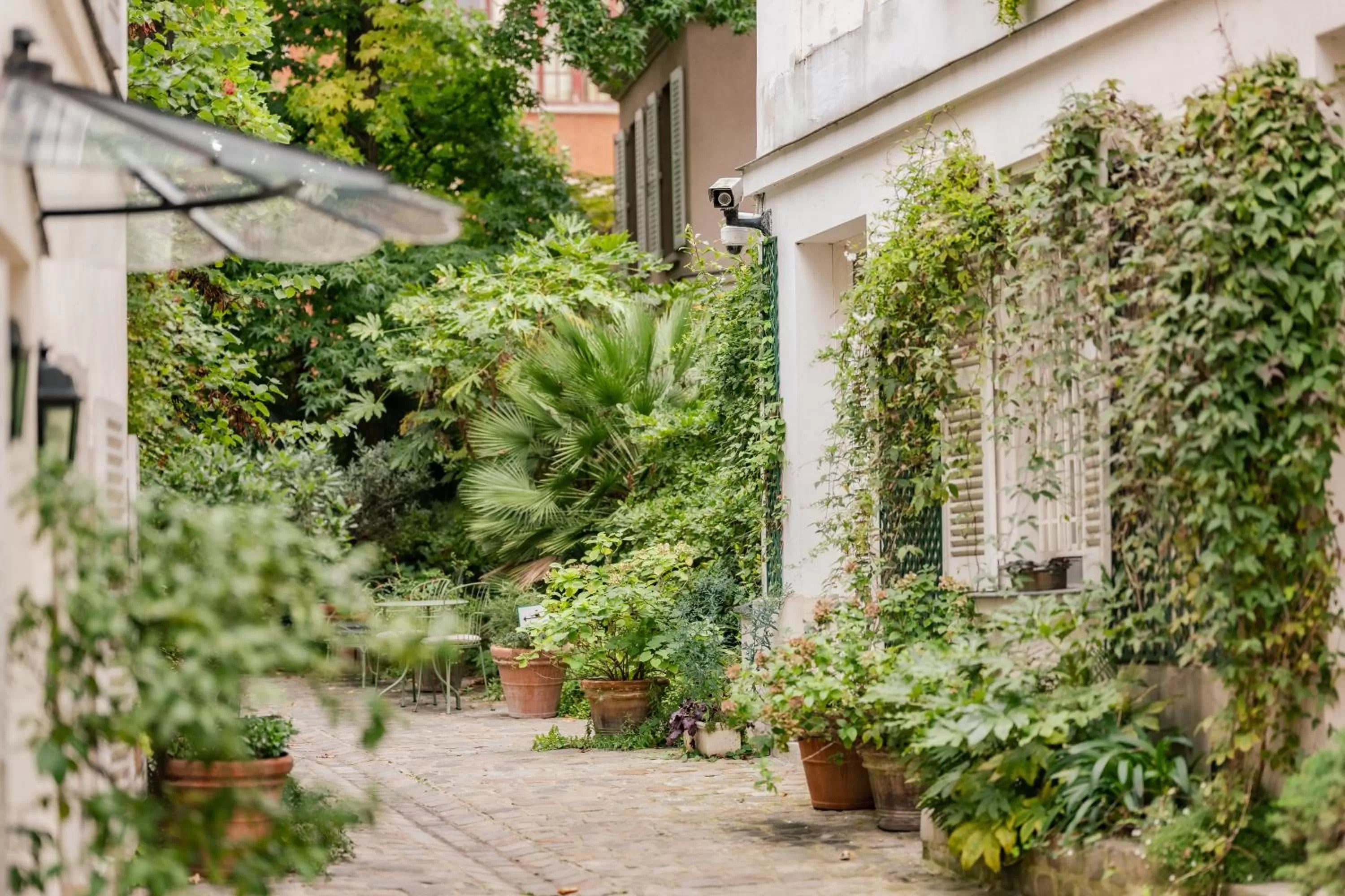 Garden in Hotel des Grandes Ecoles